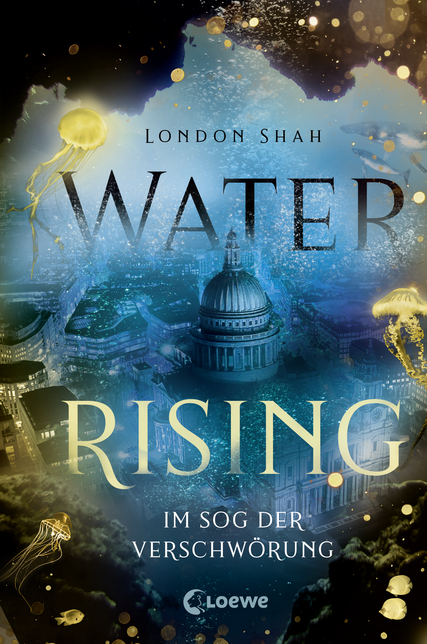 Water Rising (Band 2) - Im Sog der Verschwörung 9783732015771