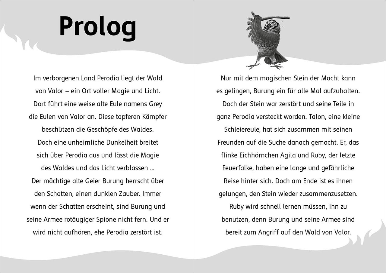 Der letzte Feuerfalke und die dunkle Magie (Band 6) 9783743214668_1 Der letzte Feuerfalke und die dunkle Magie (Band 6) 9783743214668_1