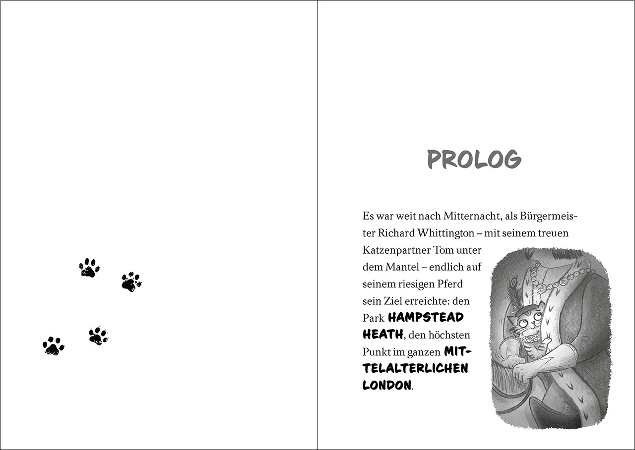 Ninja Cat (Band 4) - Der mysteriöse Juwelenraub 9783743219670_05