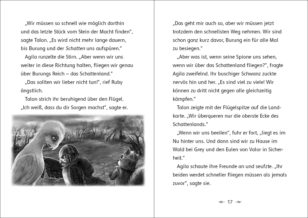 Der letzte Feuerfalke und das Schattenland (Band 5) 9783743214651_3