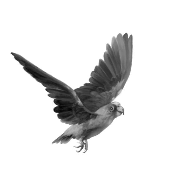 Illustration eines fliegenden Vogels