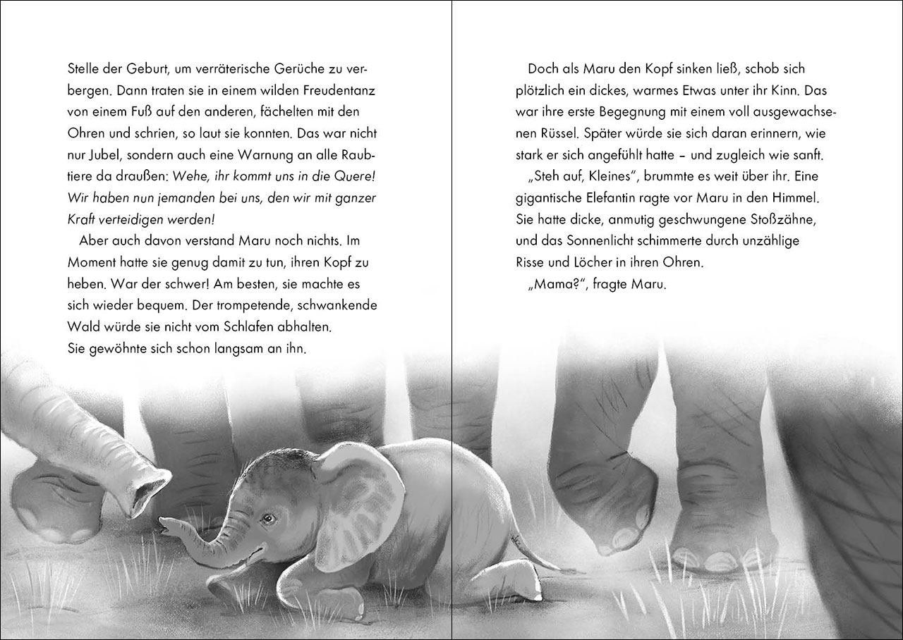 Das geheime Leben der Tiere (Savanne) - Maru - Die Reise der Elefanten 9783743211599_2