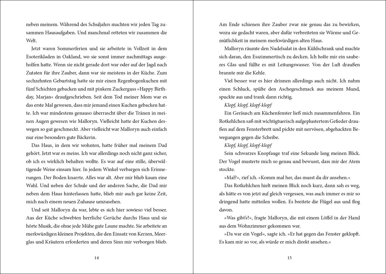 Hidden Creatures (Band 2) - Der Vogel der tausend Geschichten 9783743219786_14