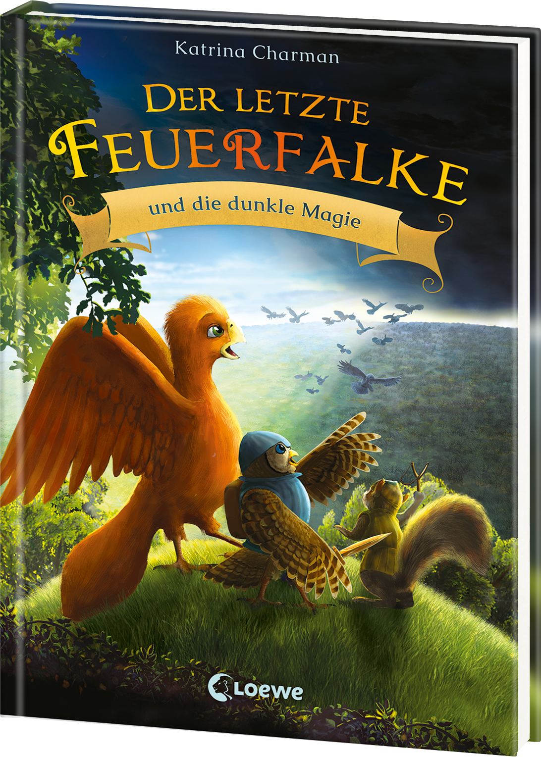 Der letzte Feuerfalke und die dunkle Magie (Band 6) 9783743214668