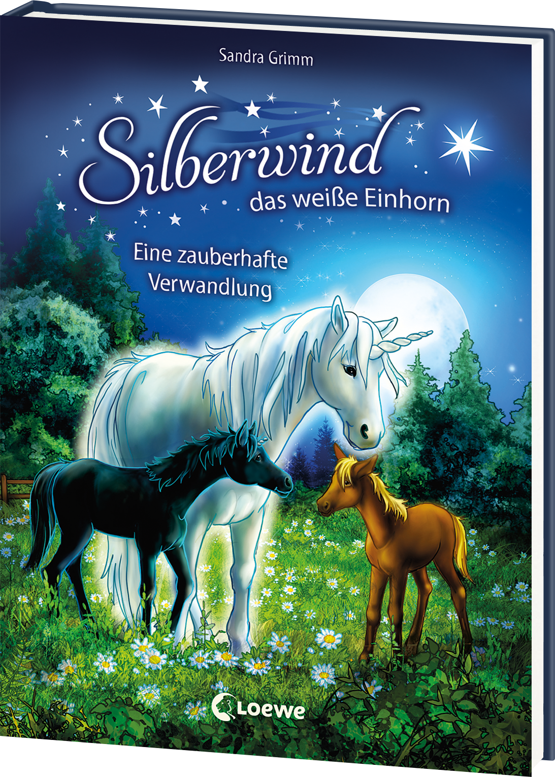Silberwind, das weiße Einhorn (Band 9) - Eine zauberhafte Verwandlung 9783743200593