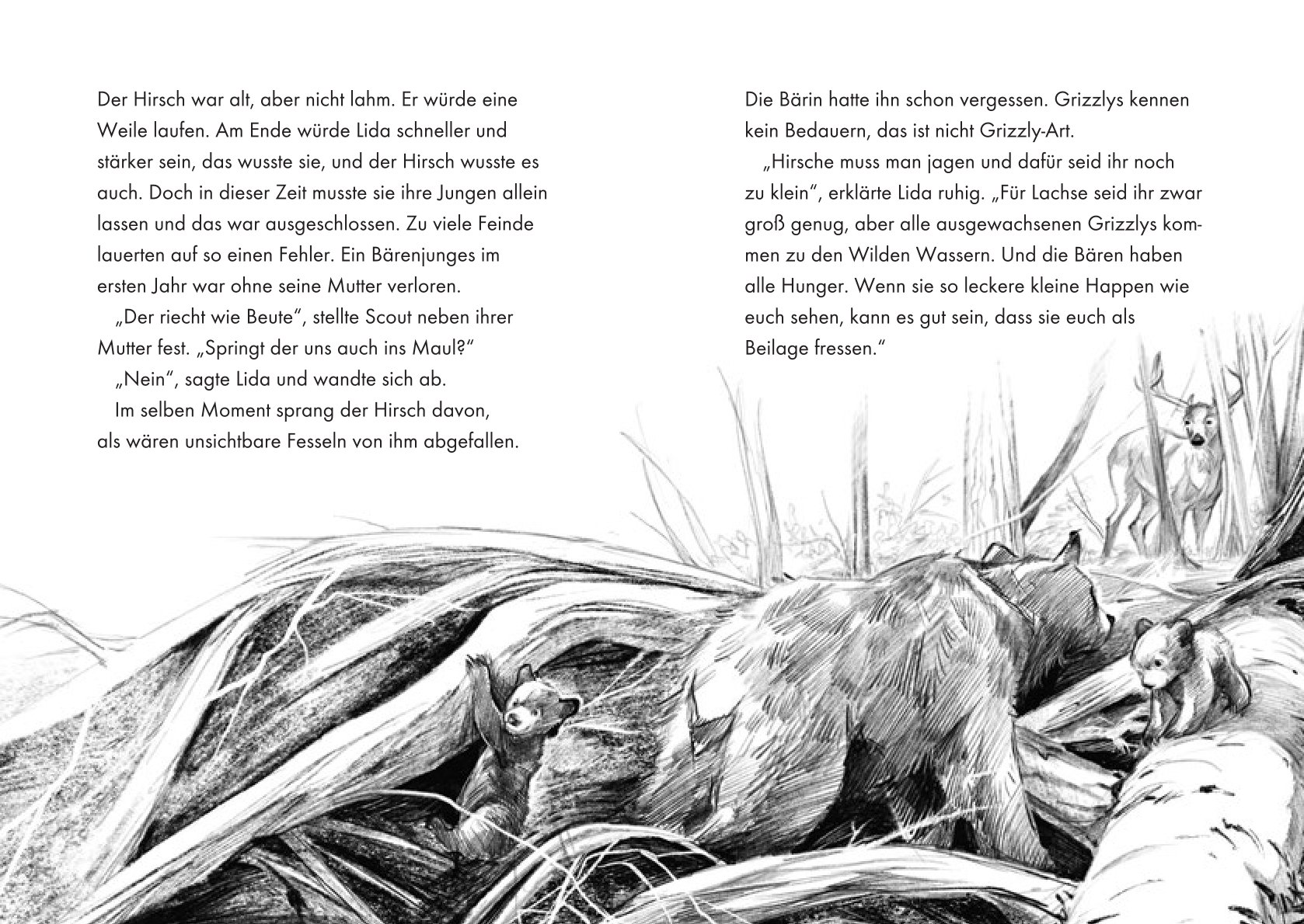 Innenseite des Buchs König der Bären von Vanessa Walder