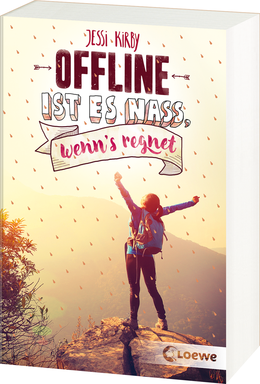 Offline ist es nass, wenn's regnet 9783743227187