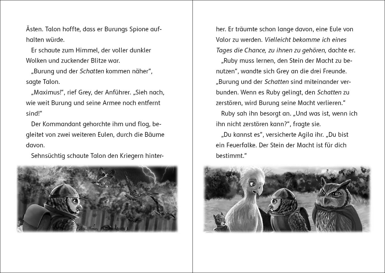 Der letzte Feuerfalke und die dunkle Magie (Band 6) 9783743214668_3 Der letzte Feuerfalke und die dunkle Magie (Band 6) 9783743214668_3