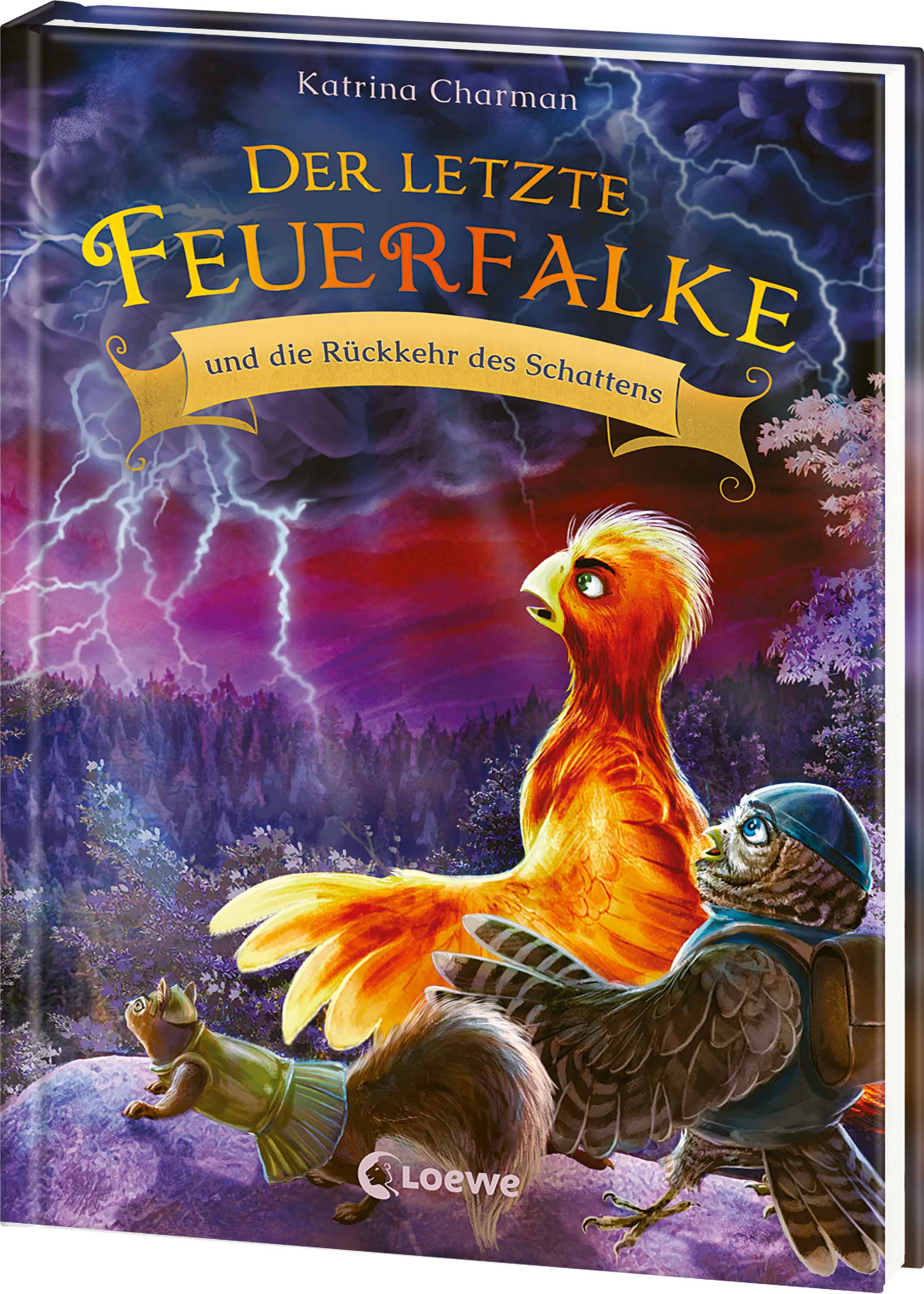 Der letzte Feuerfalke und die Rückkehr des Schattens (Band 12) 9783743220386