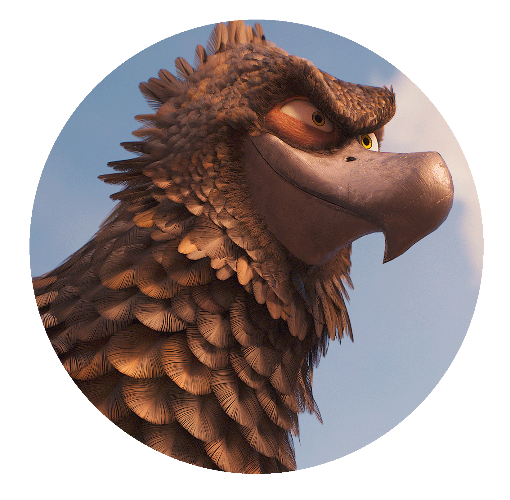 Adler Mr. Gogo aus Tafiti