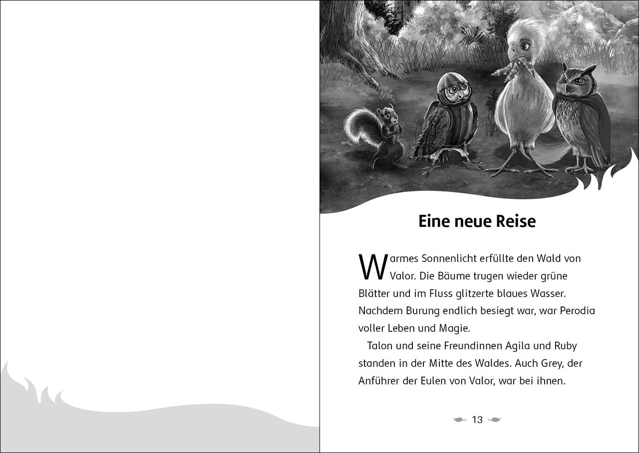 Der letzte Feuerfalke und das Wolkenland (Band 7) 9783743215252_5