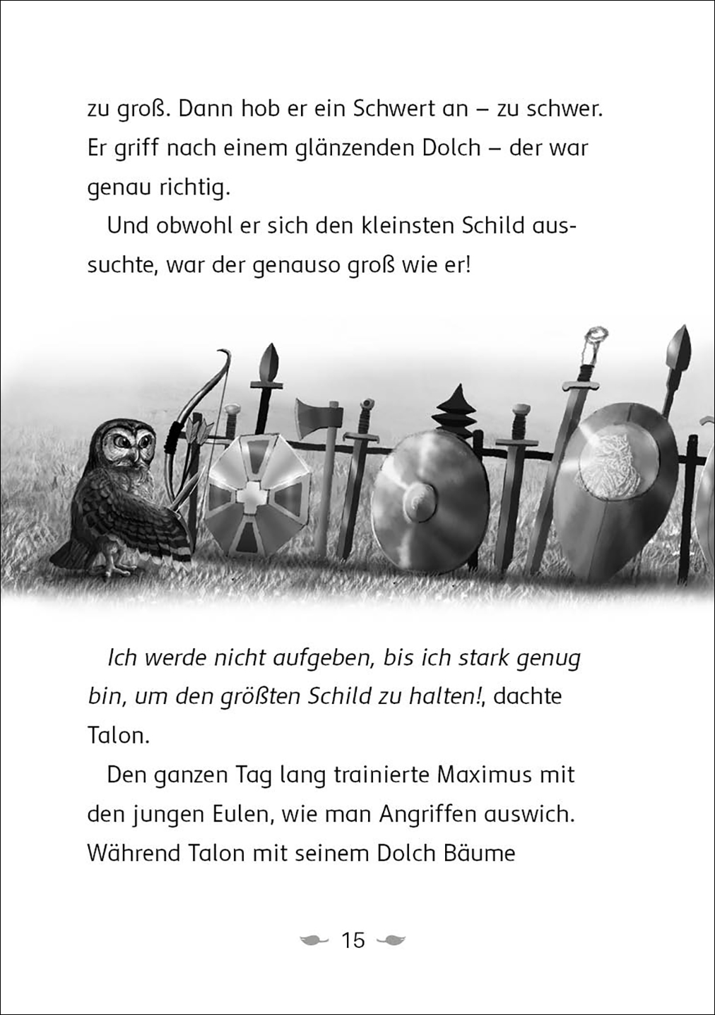 Der letzte Feuerfalke und der Stein der Macht (Band 1)  9783743208124_4