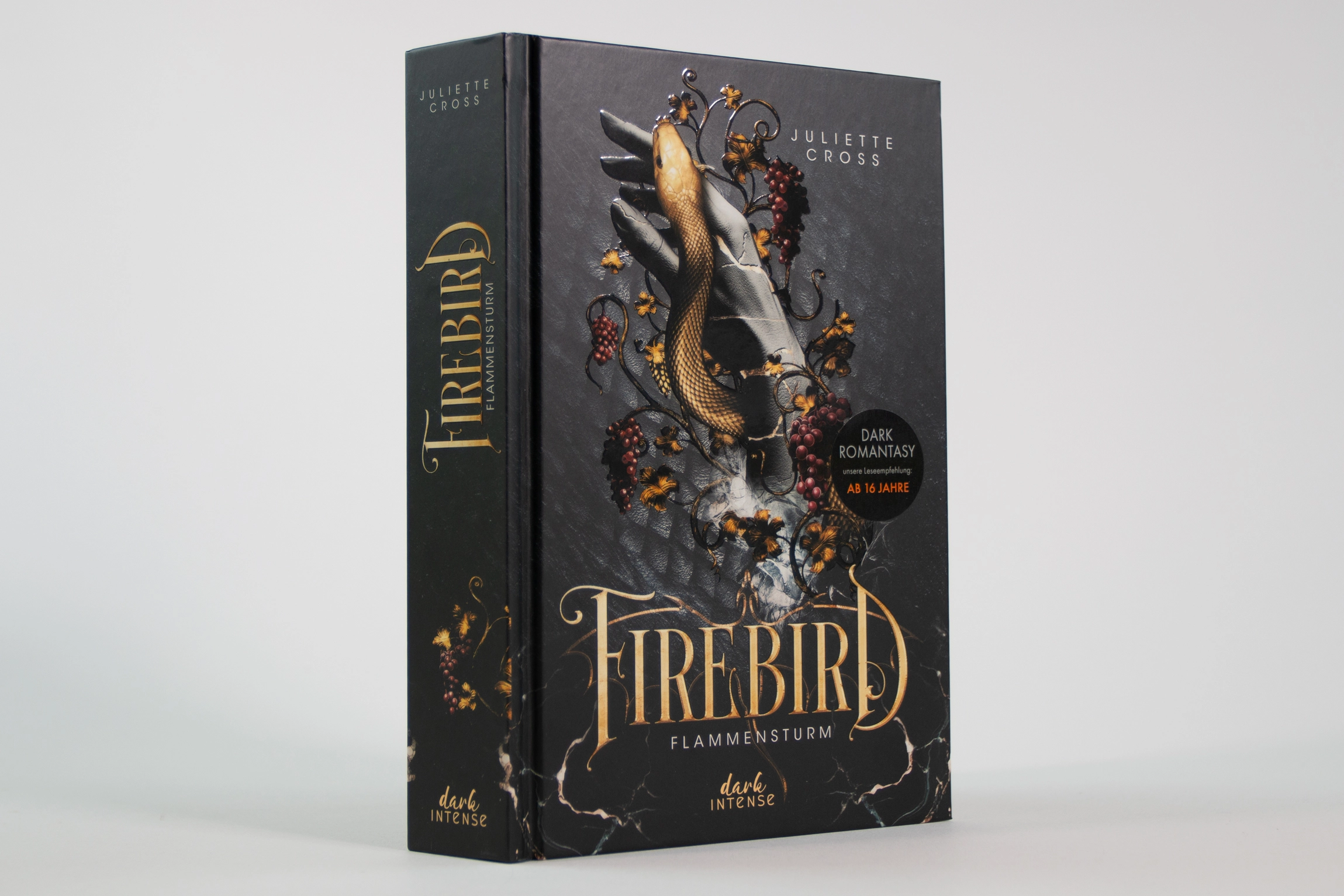 Firebird (Flammensturm, Band 1) 9783743223110_04
