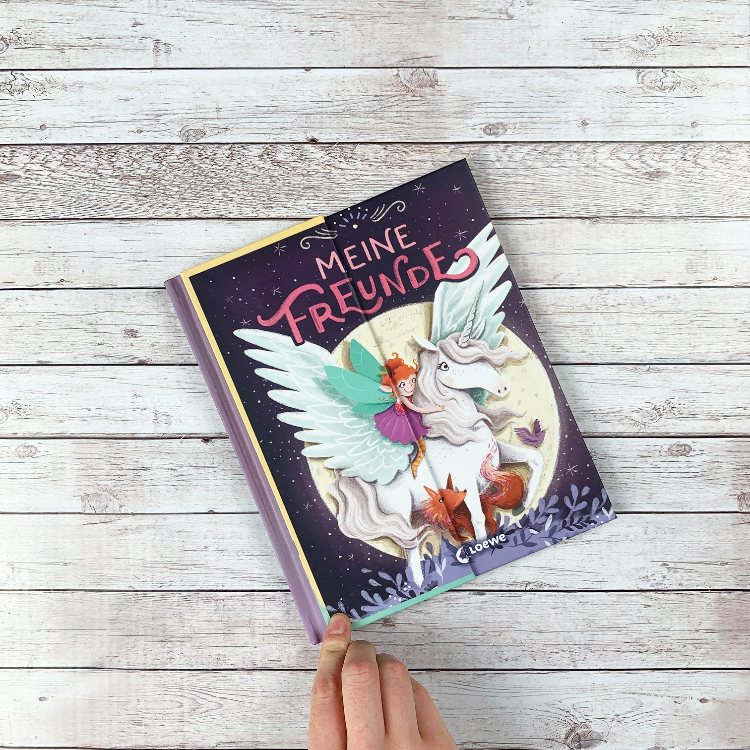 Meine Freunde (Einhorn, Feen & Co.) 9783743206021_8