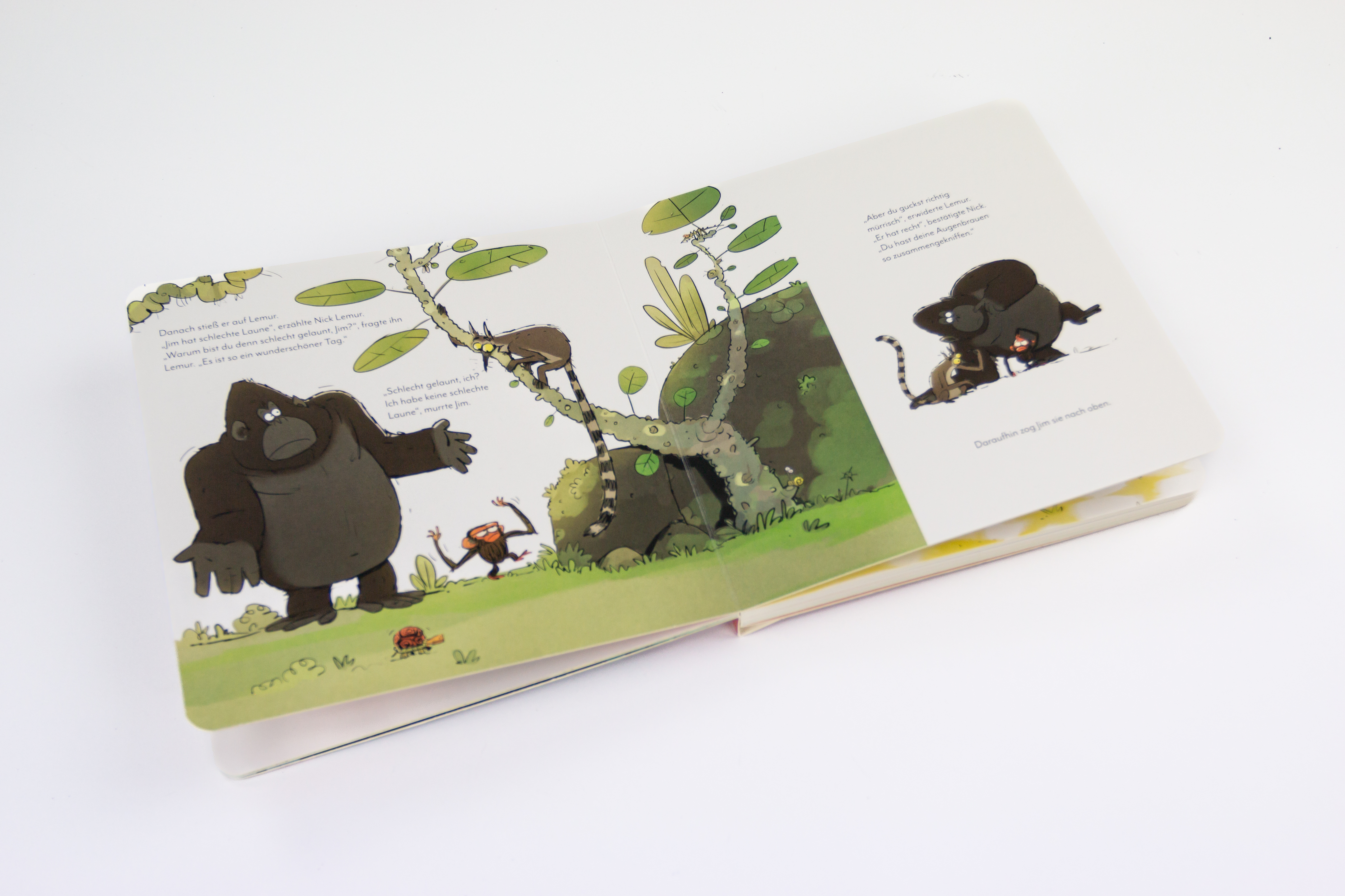 Jim ist mies drauf (Pappbilderbuch) 9783743214538_4
