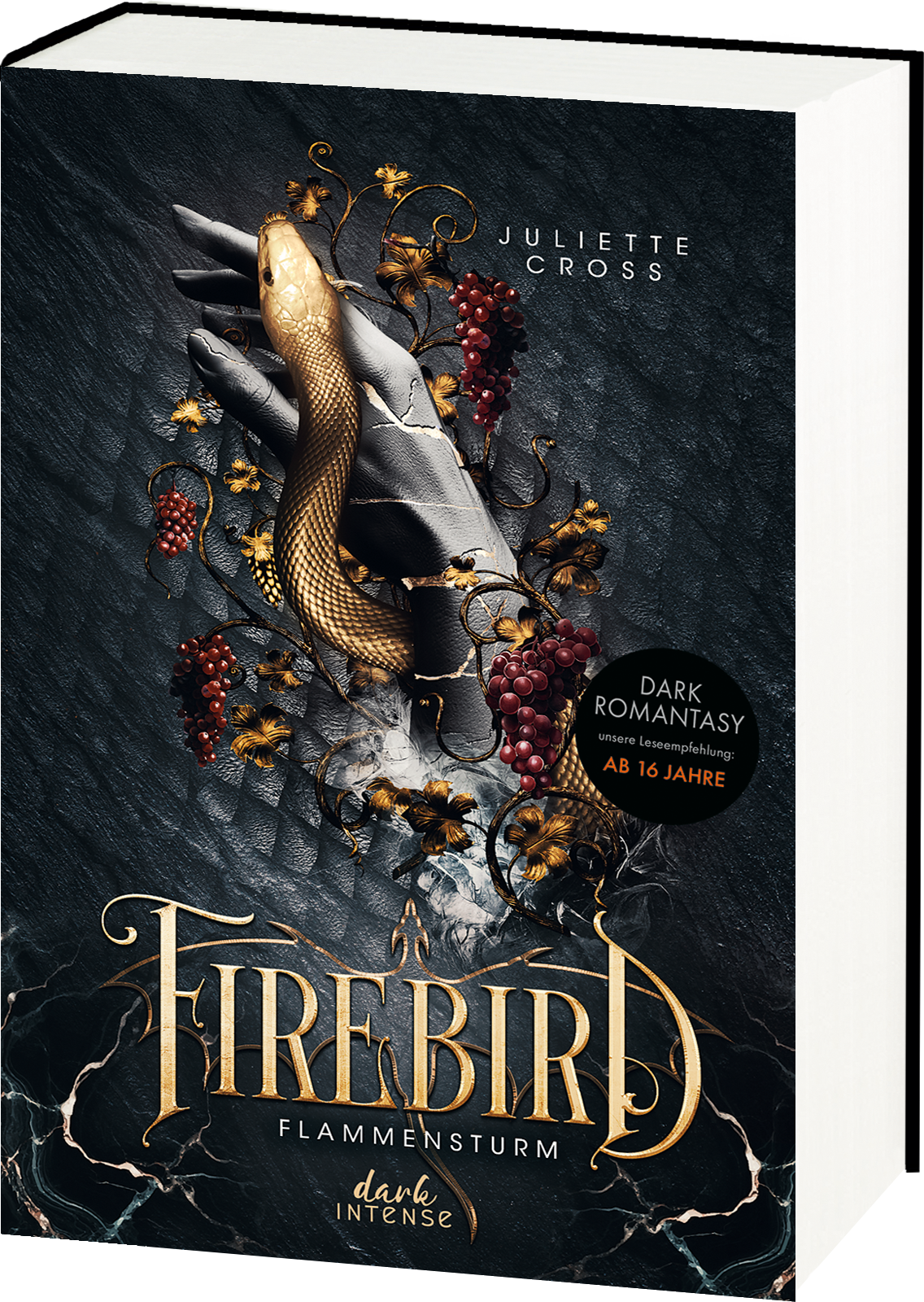 Flammensturm (Band 1) - Firebird