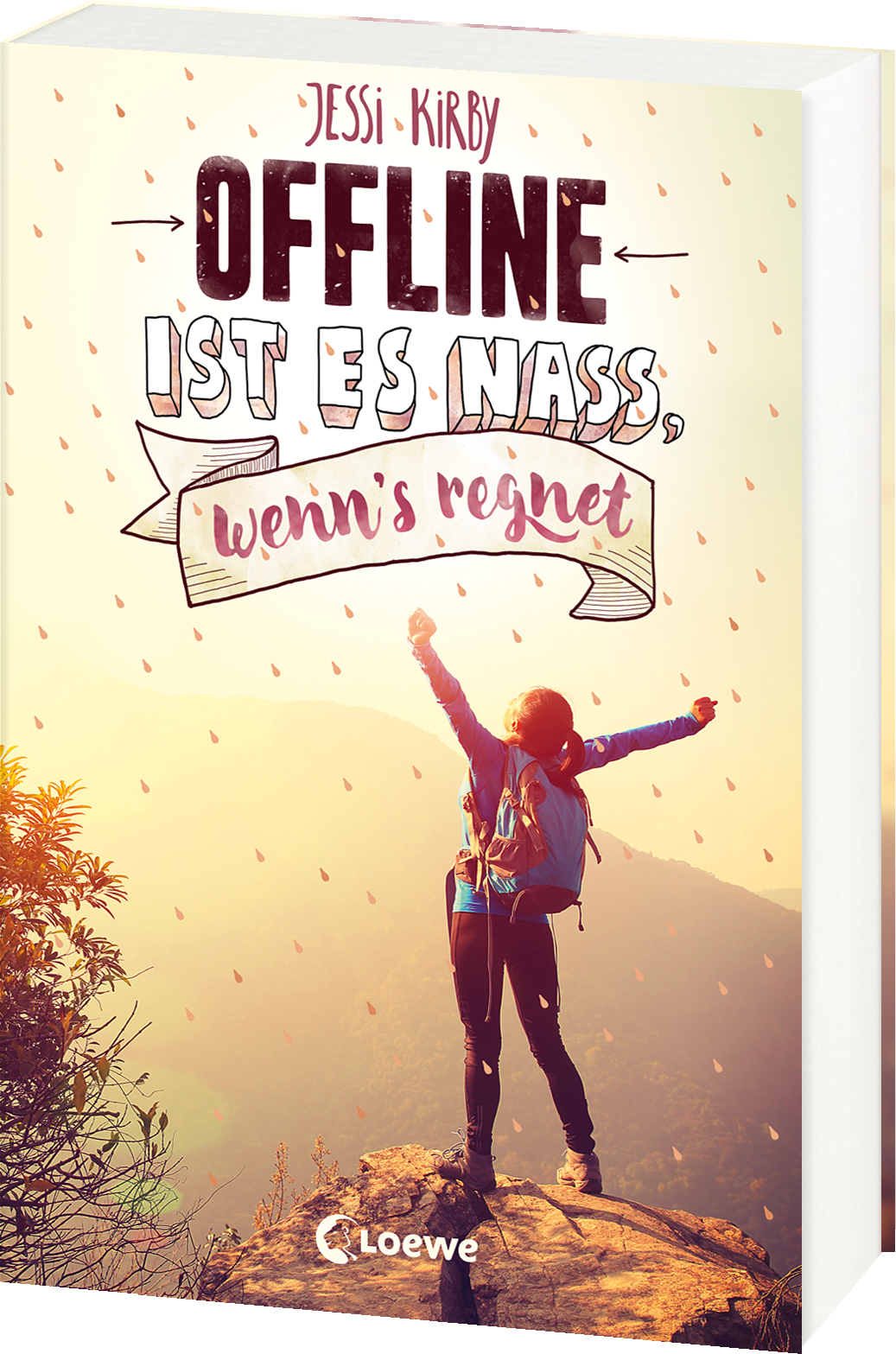 Offline ist es nass, wenn's regnet 9783743203778