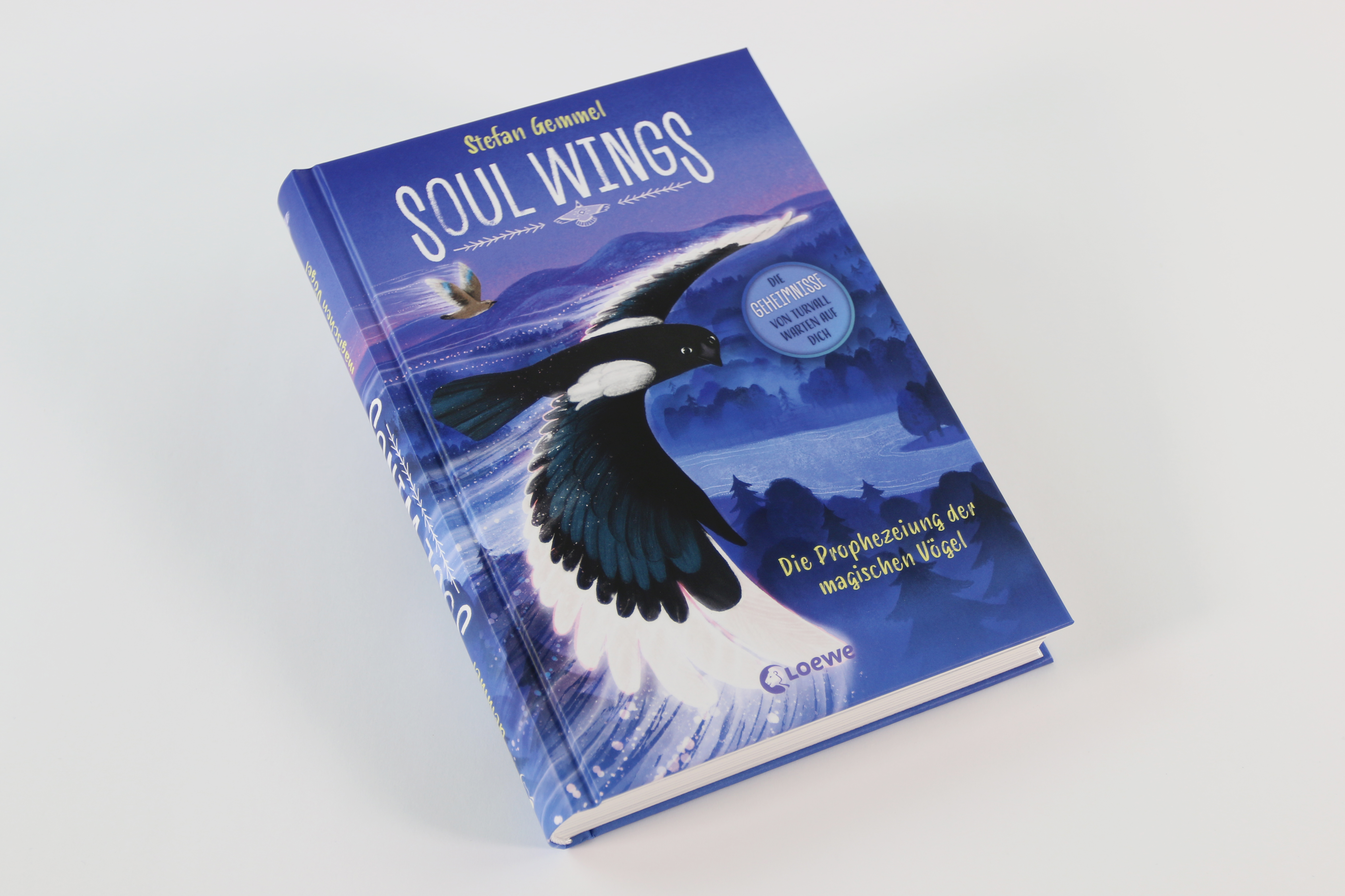 Soul Wings (Band 1) - Die Prophezeiung der magischen Vögel 9783743222809_05