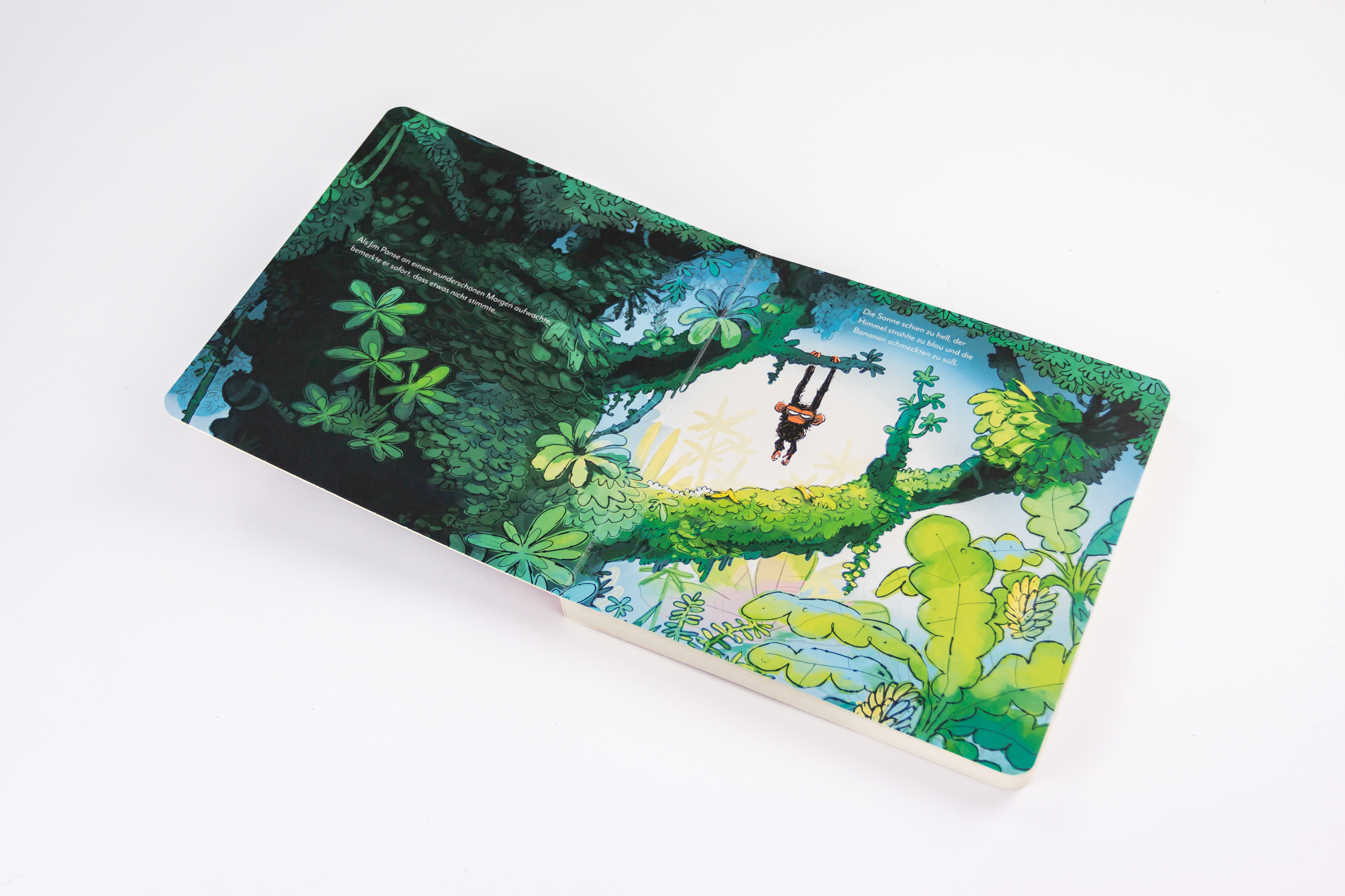 Jim ist mies drauf (Pappbilderbuch) 9783743214538_3