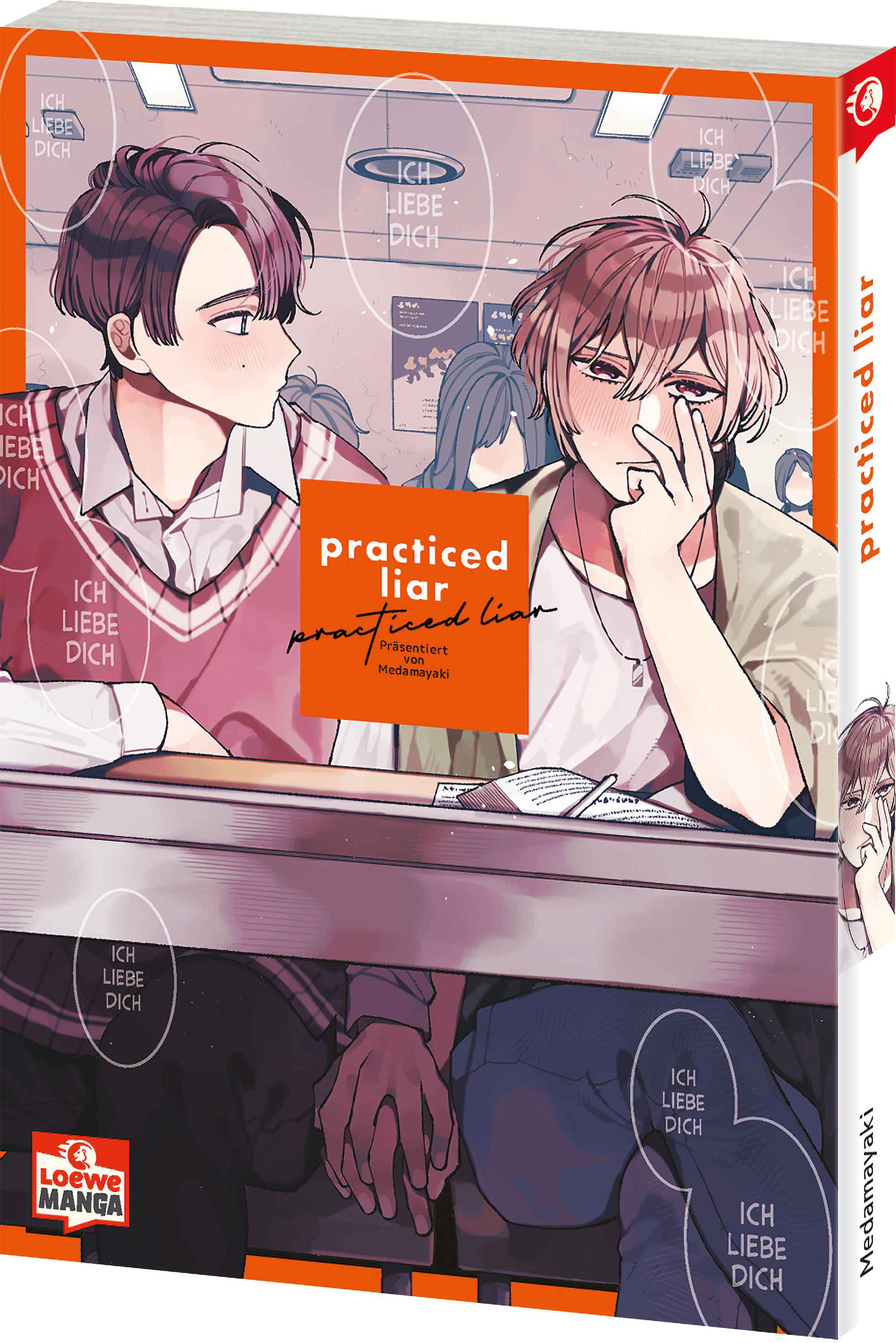 practiced liar 9783743219984