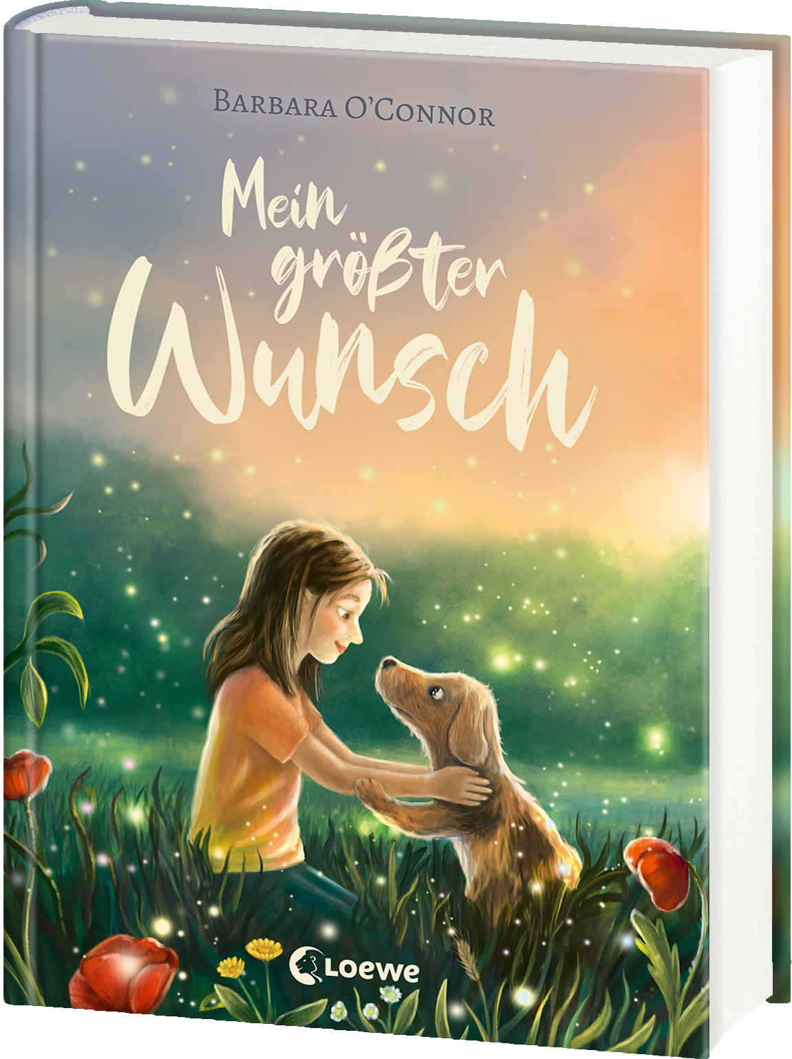Mein größter Wunsch 9783743221482