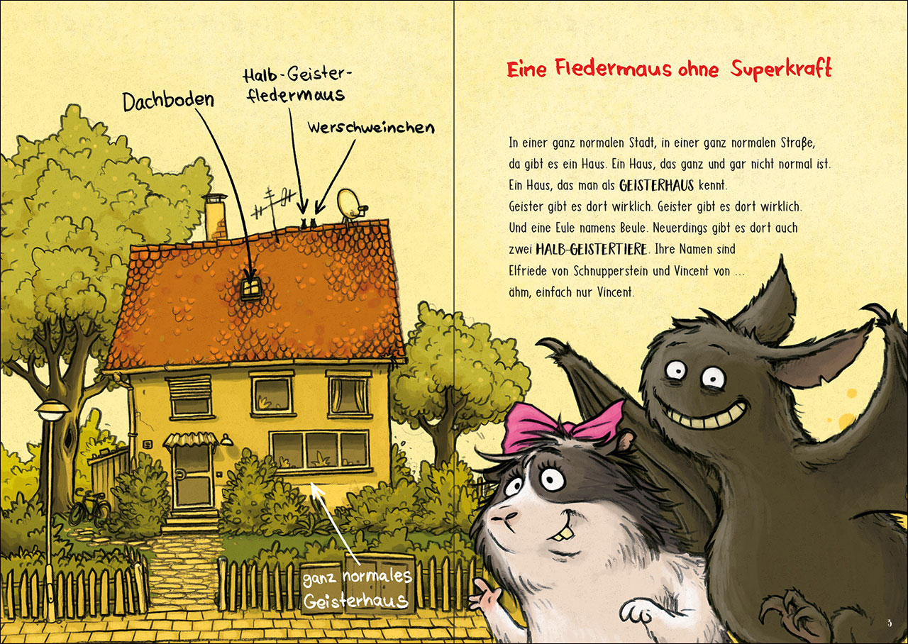 Vincent und das Geisterlama (Band 2) 9783743200210_1