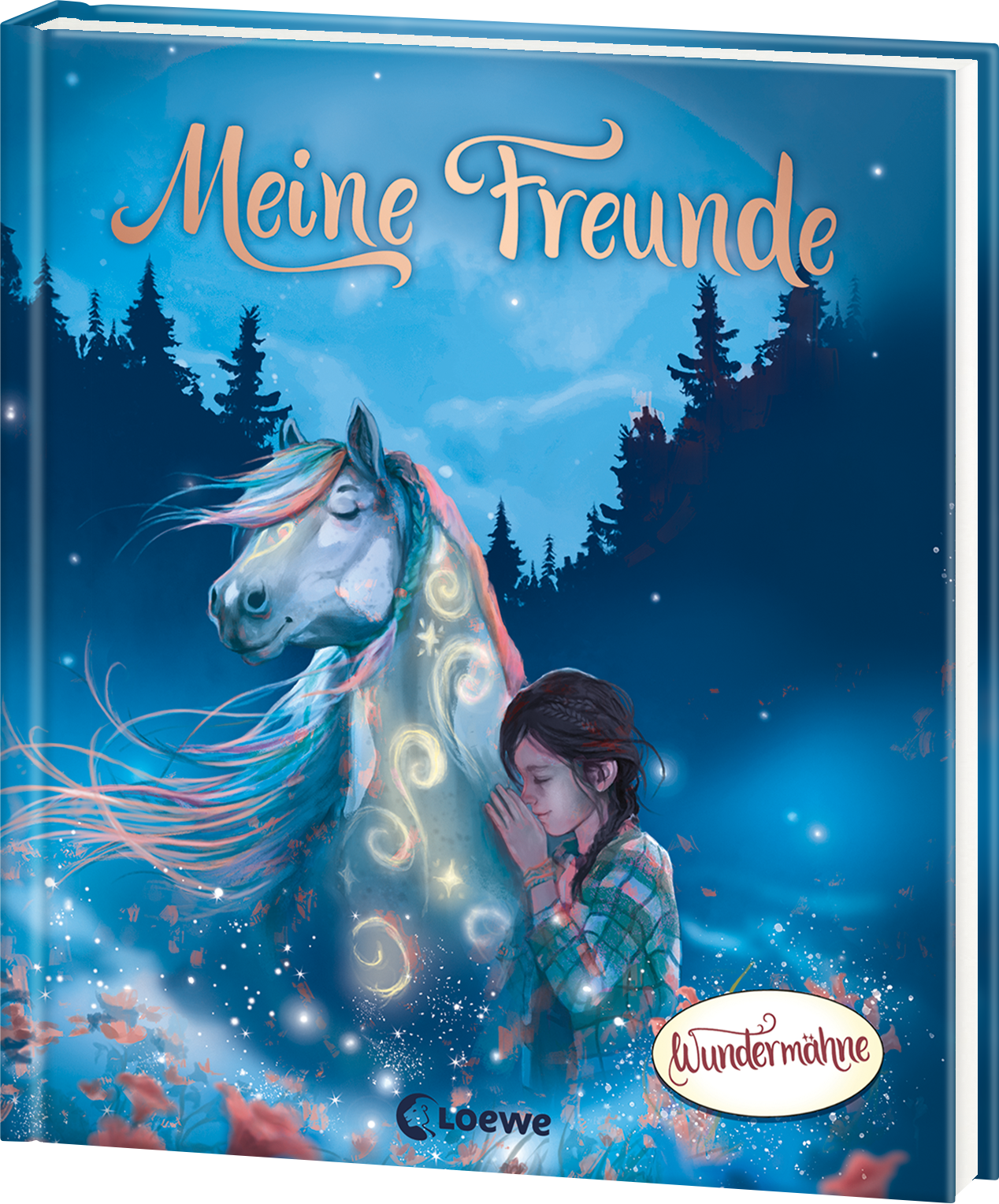 Meine Freunde (Wundermähne) 9783743227064