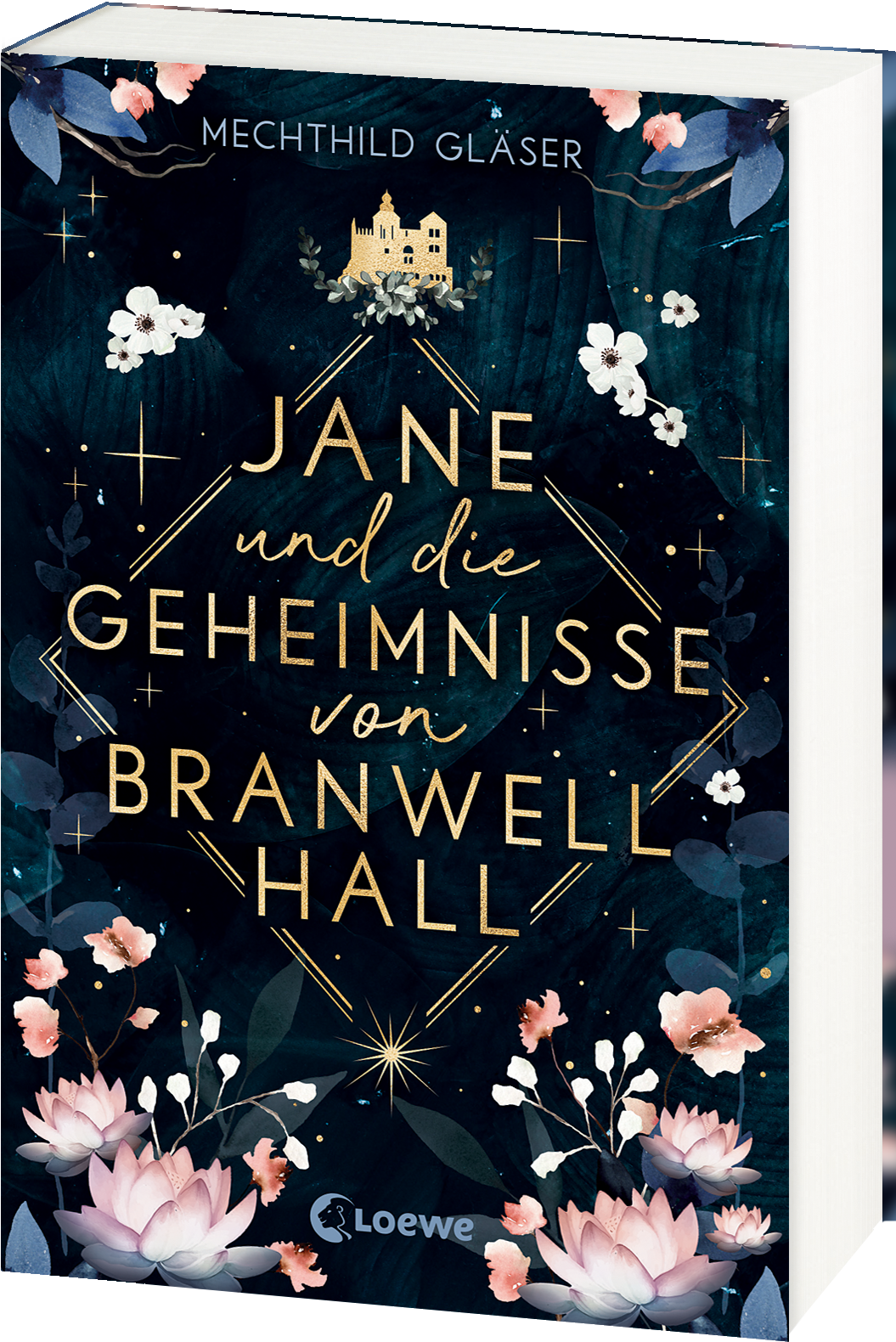 Jane und die Geheimnisse von Branwell Hall 9783743217676