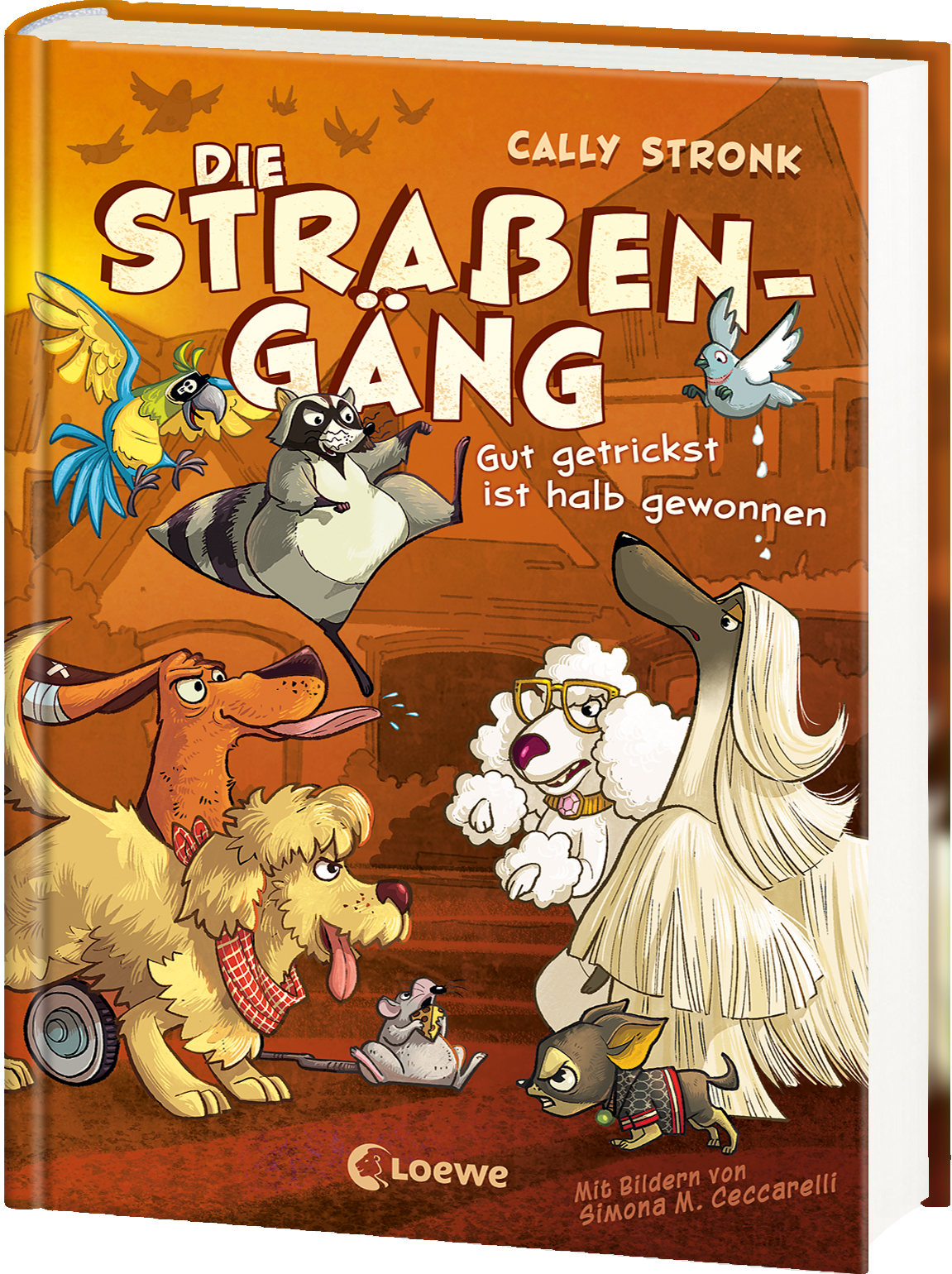 Die Straßengäng (Band 2) - Gut getrickst ist halb gewonnen 9783743215122