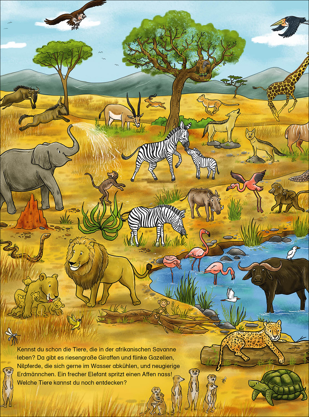 Das große Wimmelbuch der Tiere 9783743210523_3
