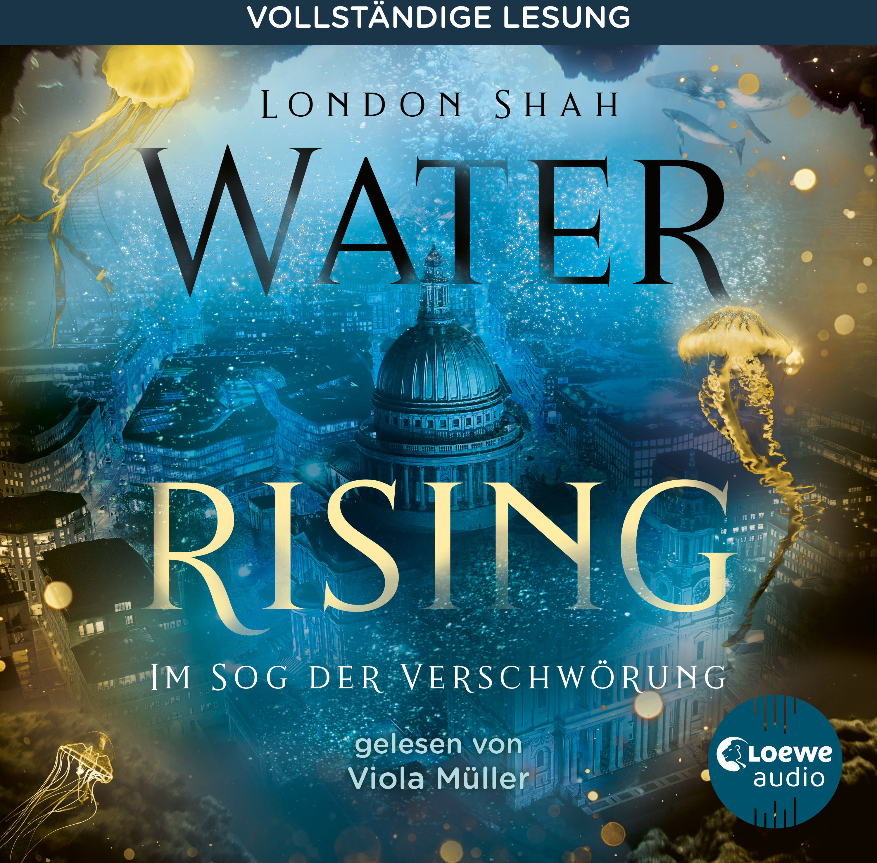 Water Rising (Band 2) - Im Sog der Verschwörung 9783949473586