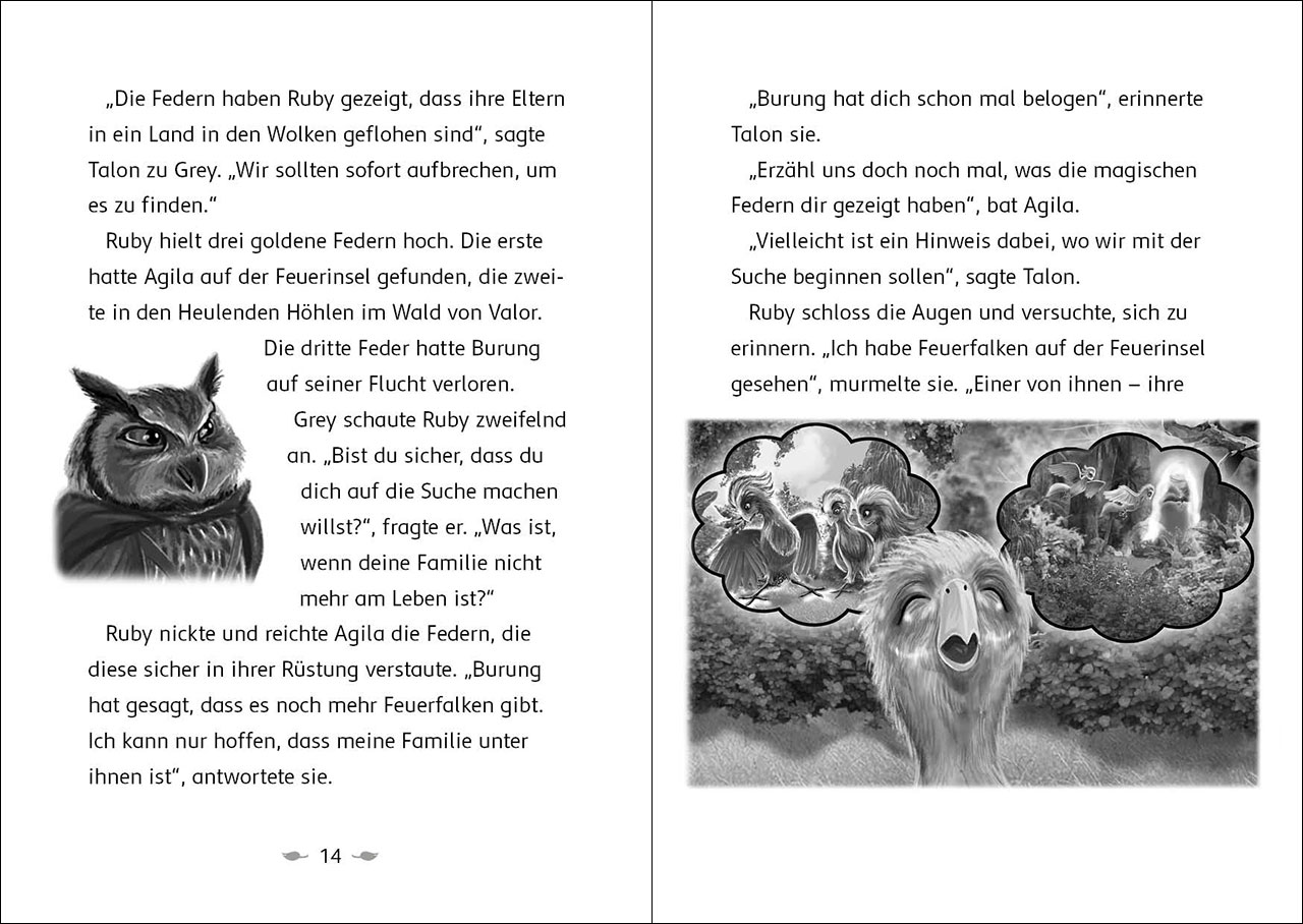 Der letzte Feuerfalke und das Wolkenland (Band 7) 9783743215252_6