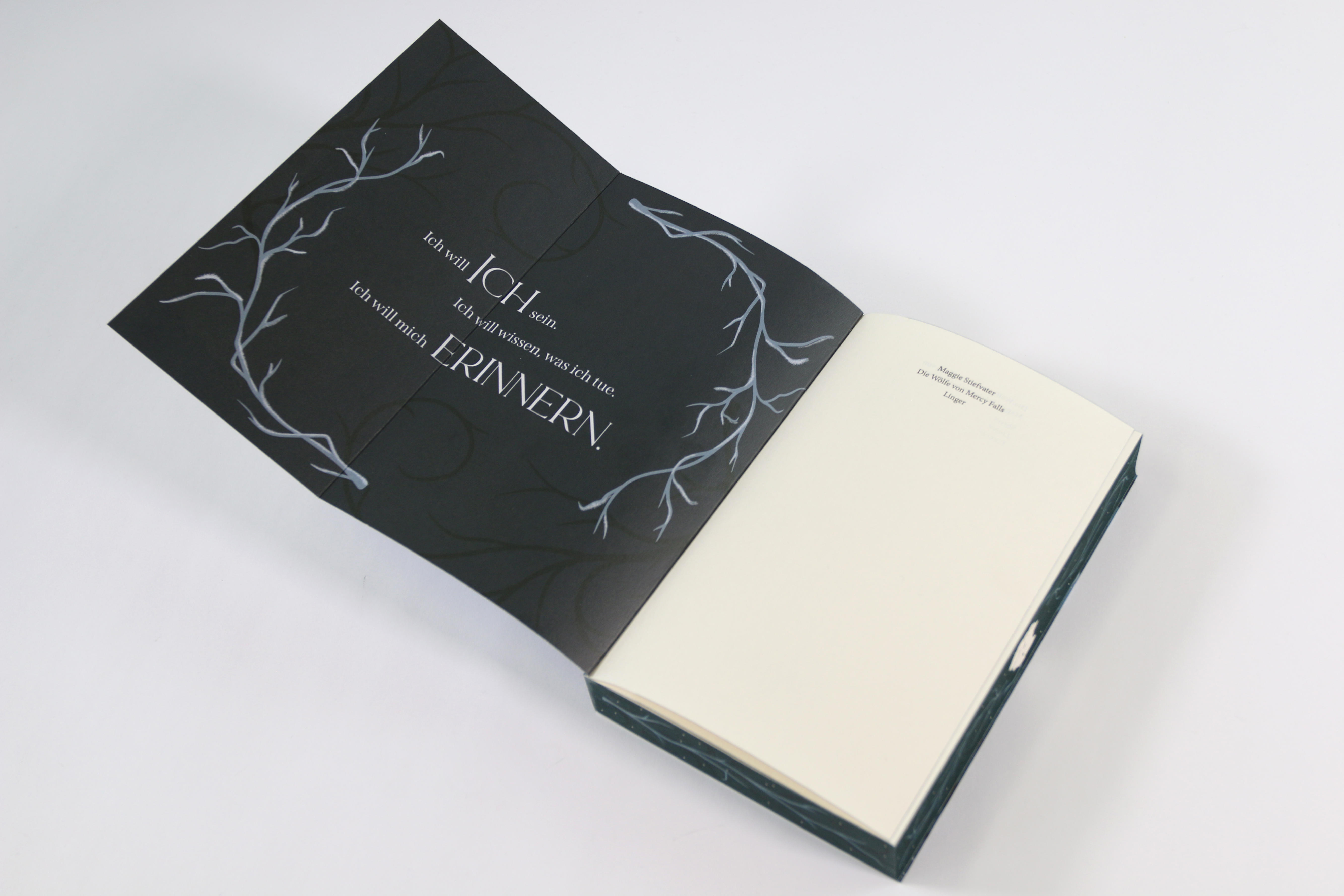 Linger (Die Wölfe von Mercy Falls, Band 2) 9783743224780_06