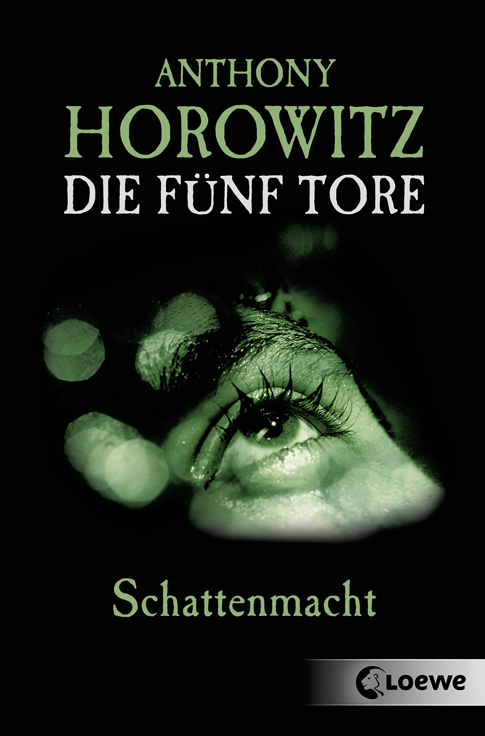 Die fünf Tore (Band 3) - Schattenmacht 9783732003433