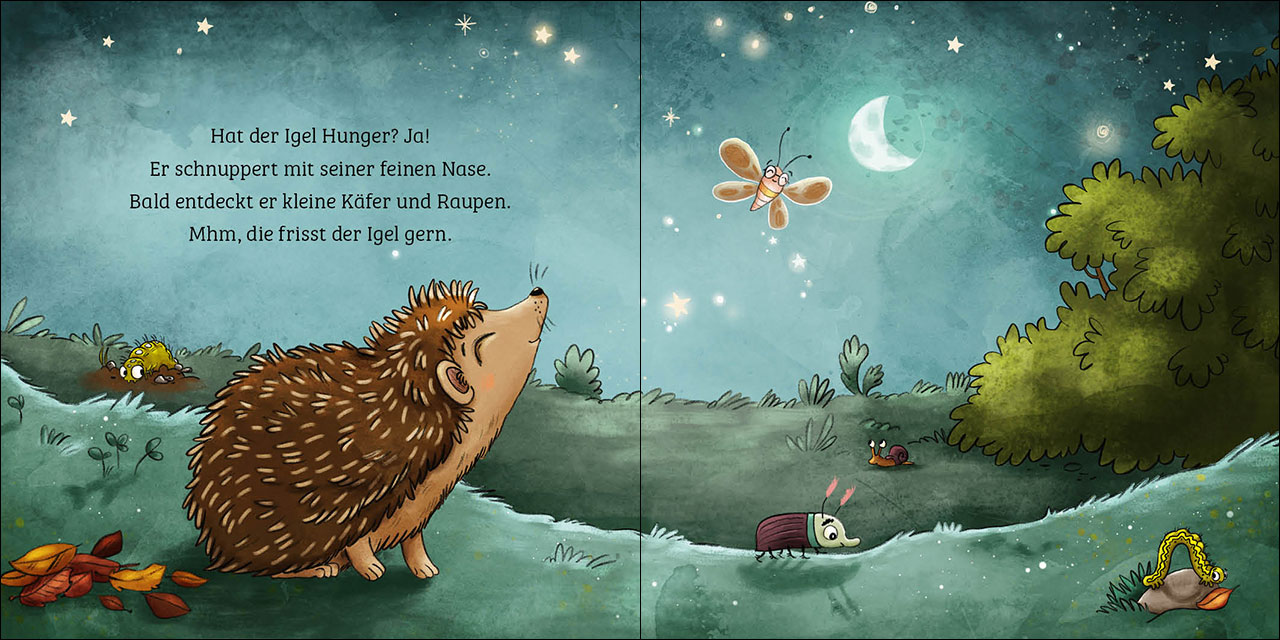 Mein erstes Naturbuch - Der Igel 9783743213159_2