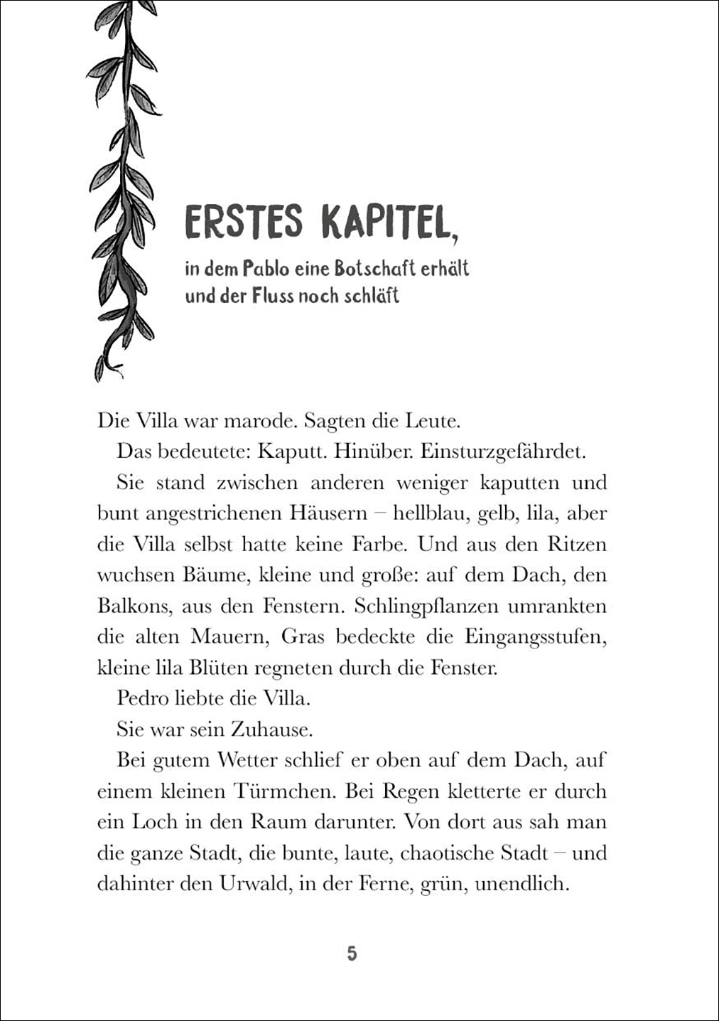 Die Amazonas-Detektive (Band 1) - Verschwörung im Dschungel 9783743208544_2