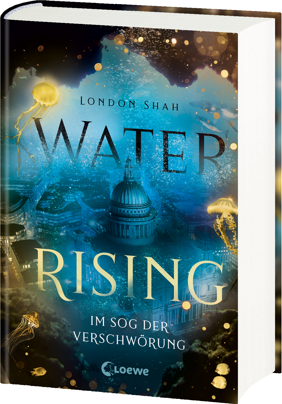 Water Rising (Band 2) - Im Sog der Verschwörung 9783743209640