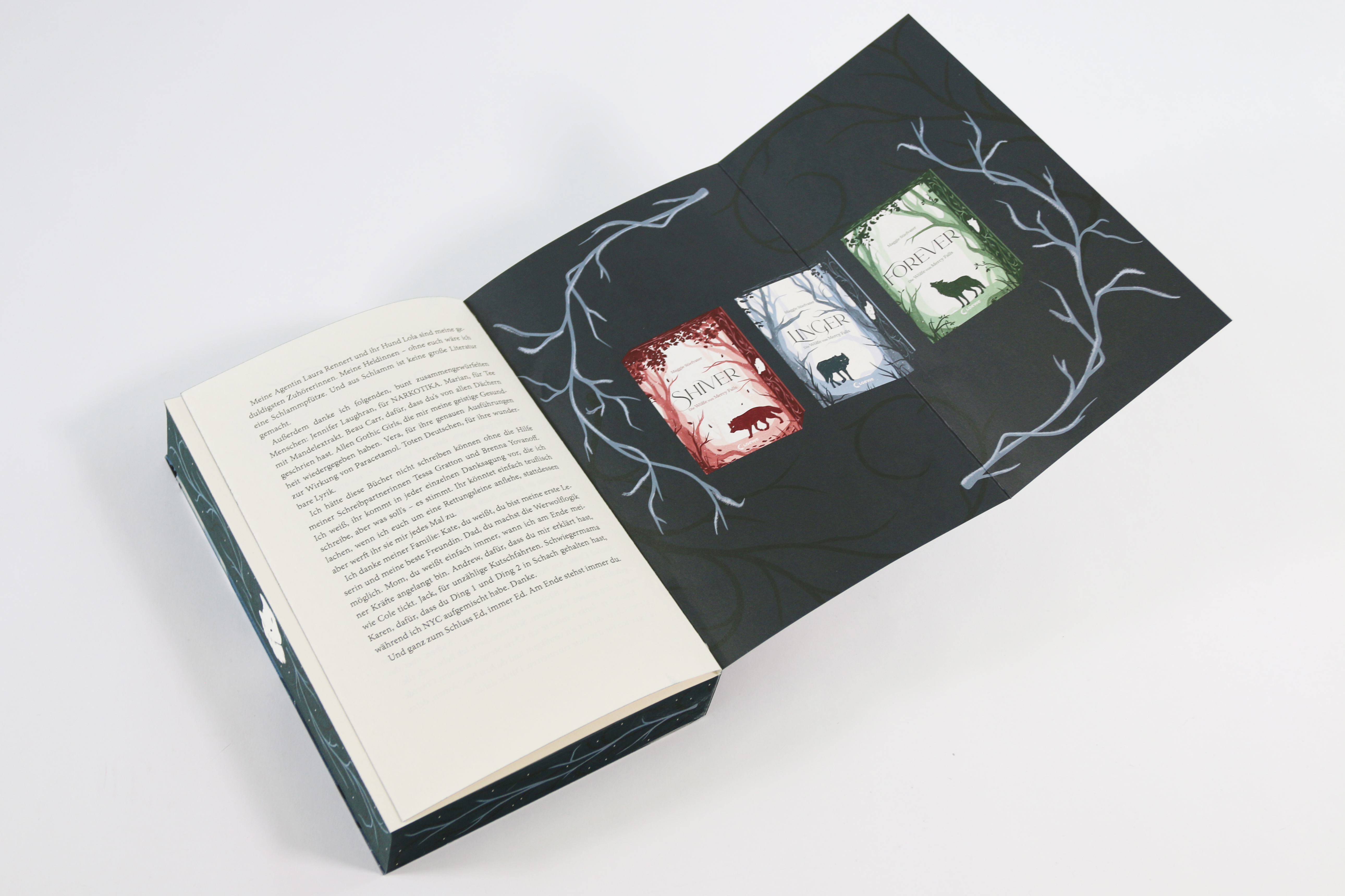 Linger (Die Wölfe von Mercy Falls, Band 2) 9783743224780_07