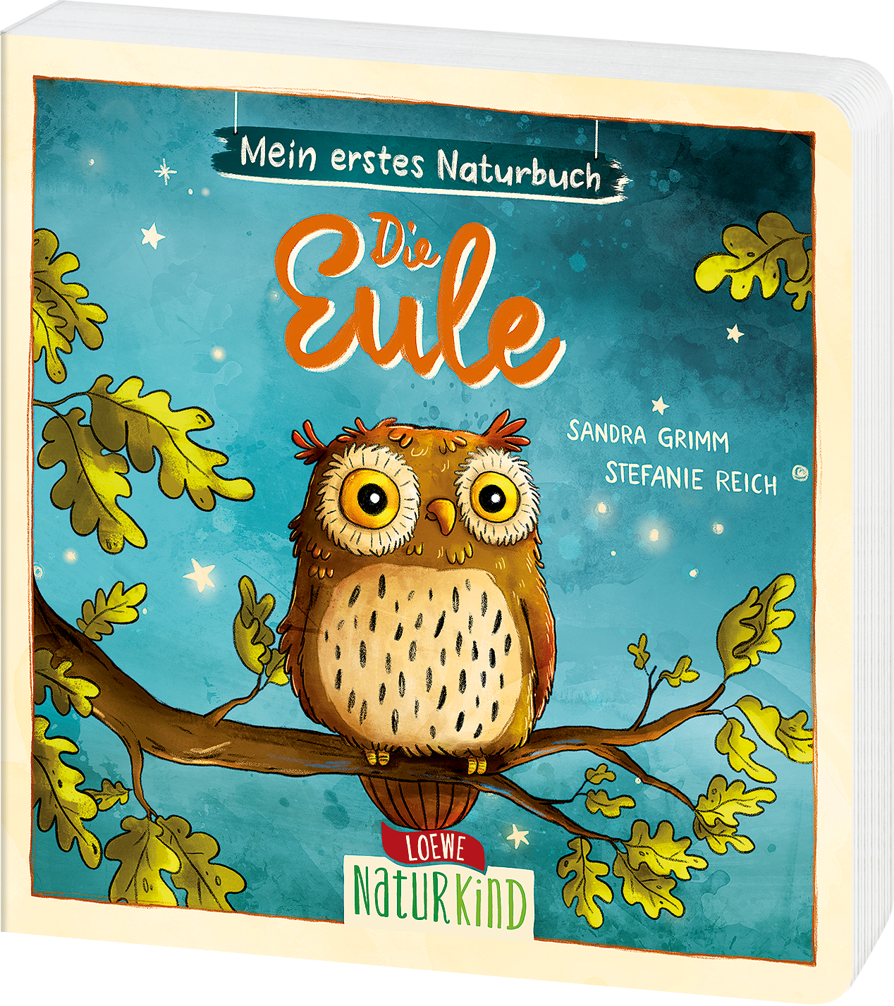 Mein erstes Naturbuch - Die Eule 9783743213166 Mein erstes Naturbuch - Die Eule 9783743213166
