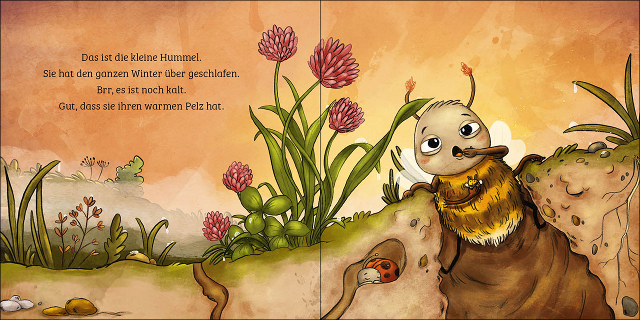 Mein erstes Naturbuch - Die Hummel 9783743213173_5