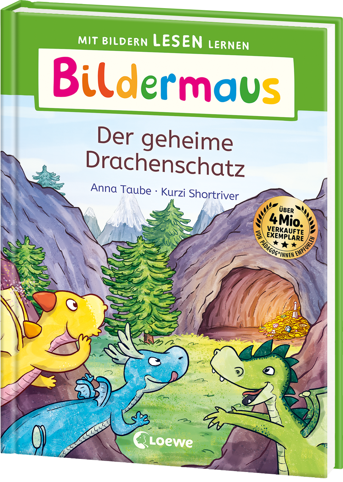 Bildermaus - Der geheime Drachenschatz 9783743217324