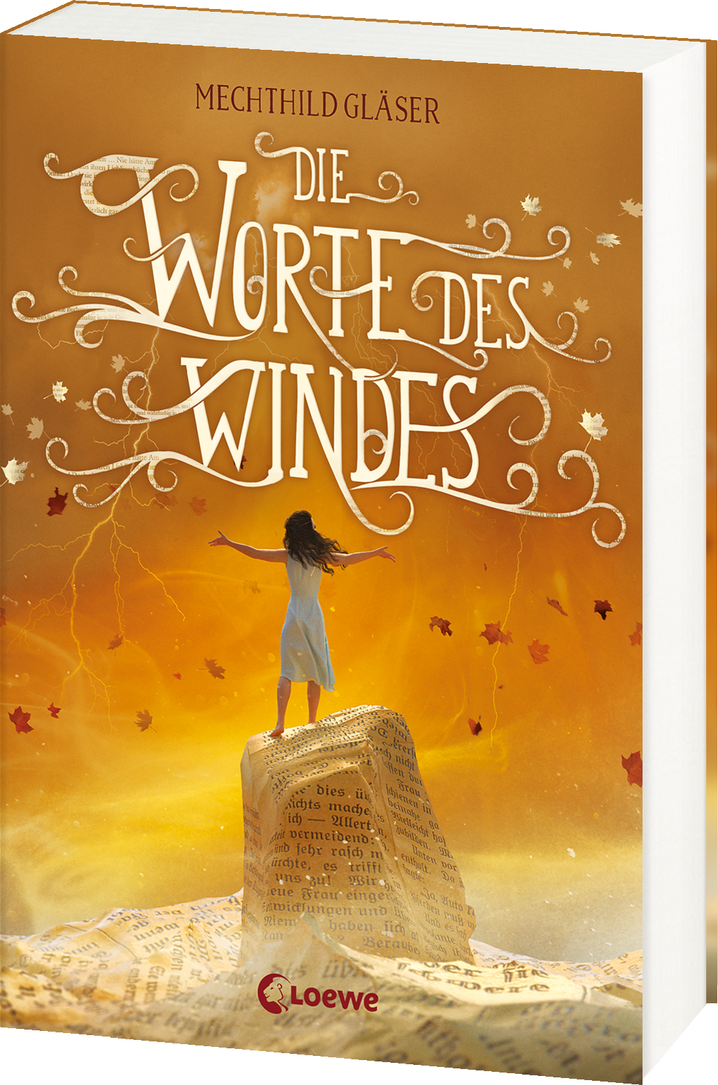 Die Worte des Windes 9783743204560 Die Worte des Windes 9783743204560