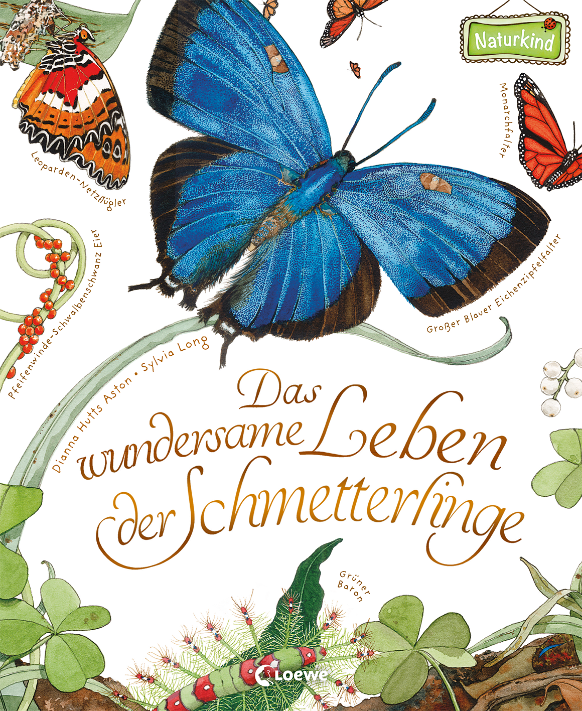 Das wundersame Leben der Schmetterlinge 9783785587508