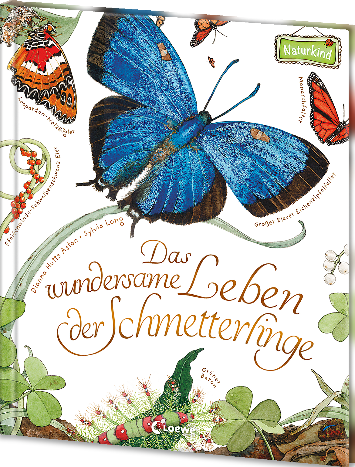 Das wundersame Leben der Schmetterlinge