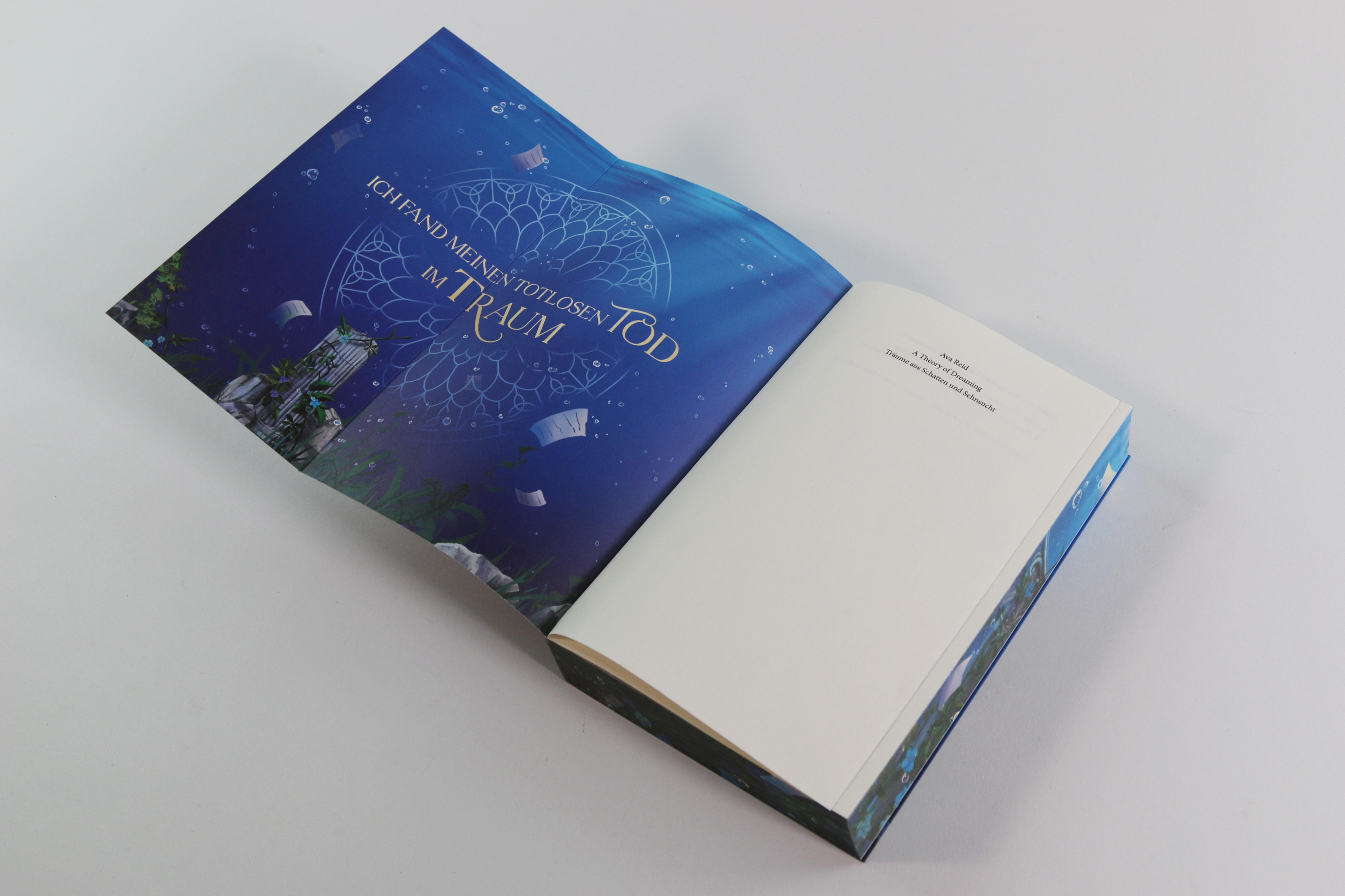 A Theory of Dreaming (A Study in Drowning, Band 2) 9783743223042_05