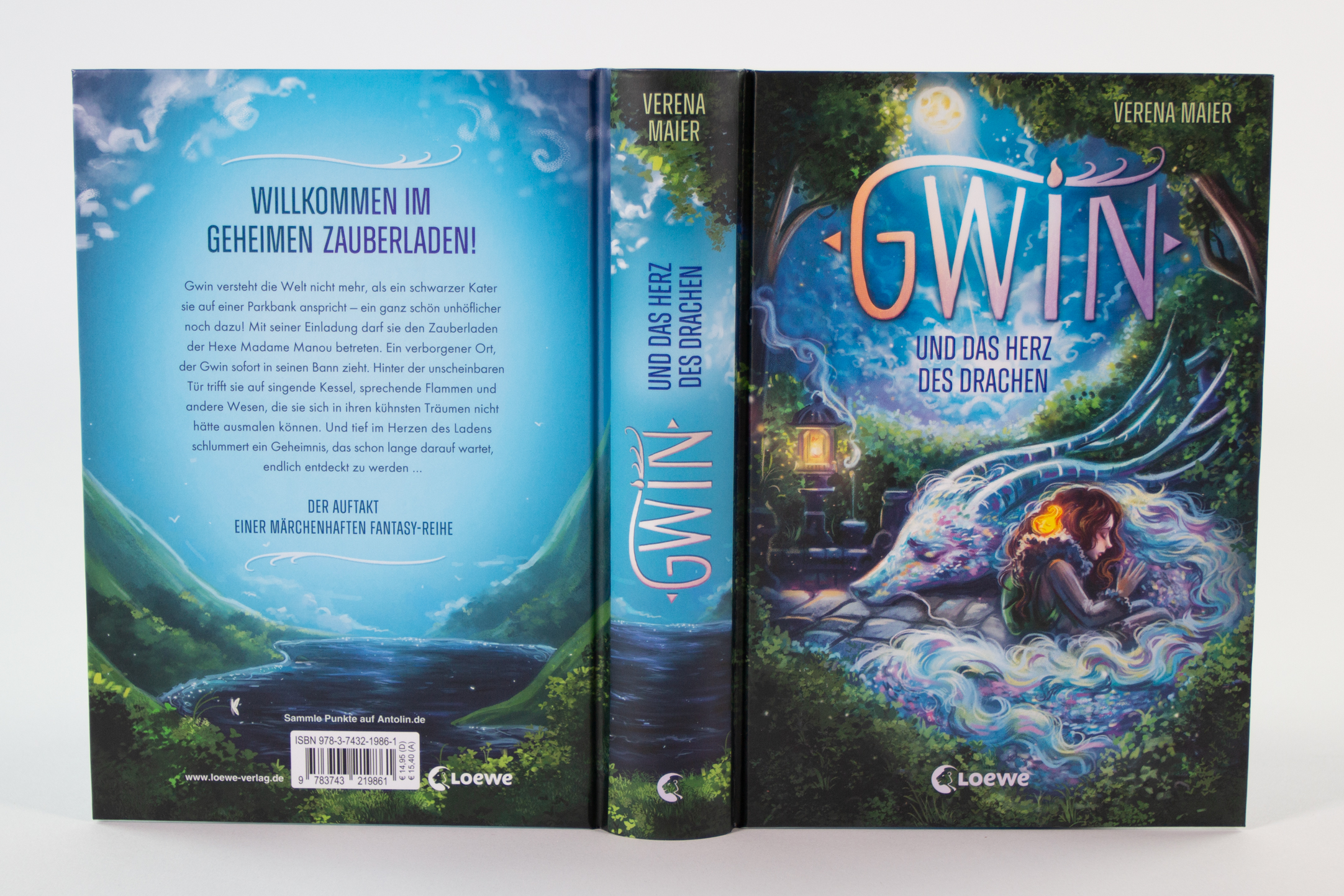 Gwin und das Herz des Drachen (Band 1) 9783743219861_8
