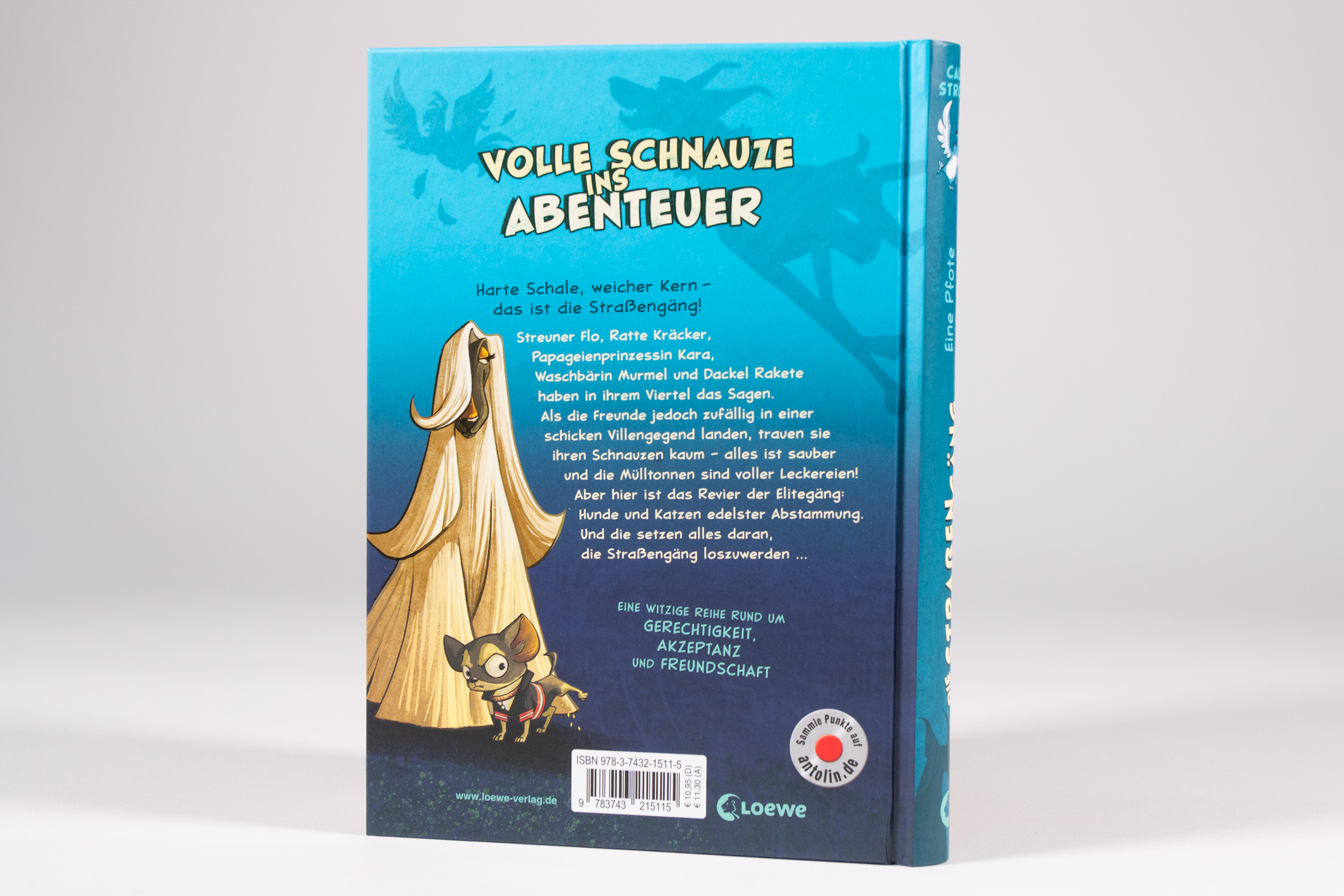Die Straßengäng (Band 1) - Eine Pfote wäscht die andere 9783743215115_2 Die Straßengäng (Band 1) - Eine Pfote wäscht die andere 9783743215115_2
