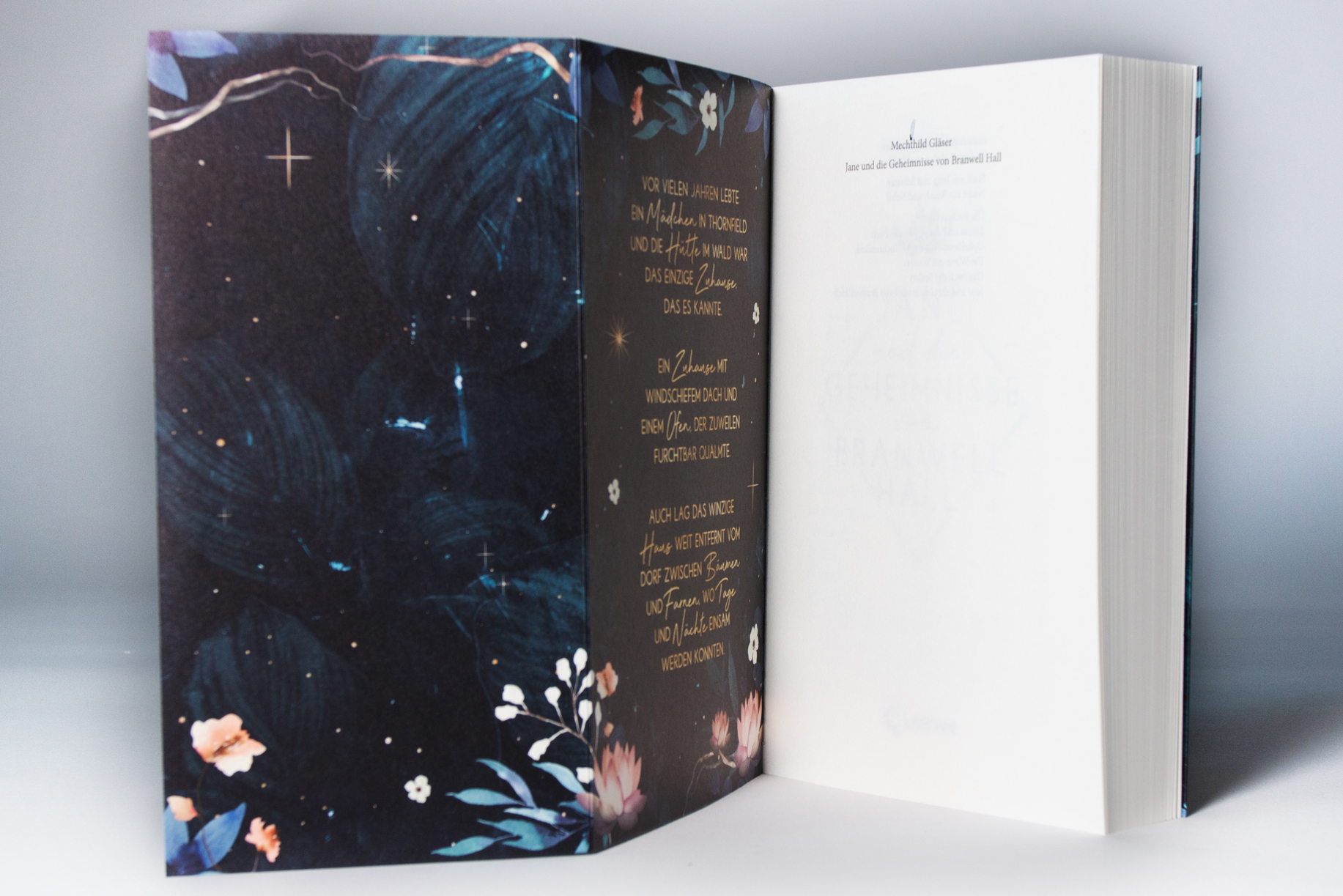 Jane und die Geheimnisse von Branwell Hall 9783743217676_3