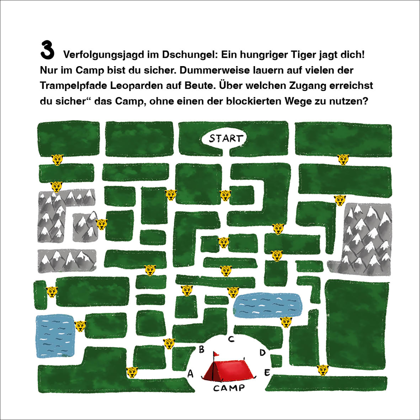 9 von 10 schaffen diese Rätsel nicht - schaffst du sie? - Vol. 2 9783743209077_1