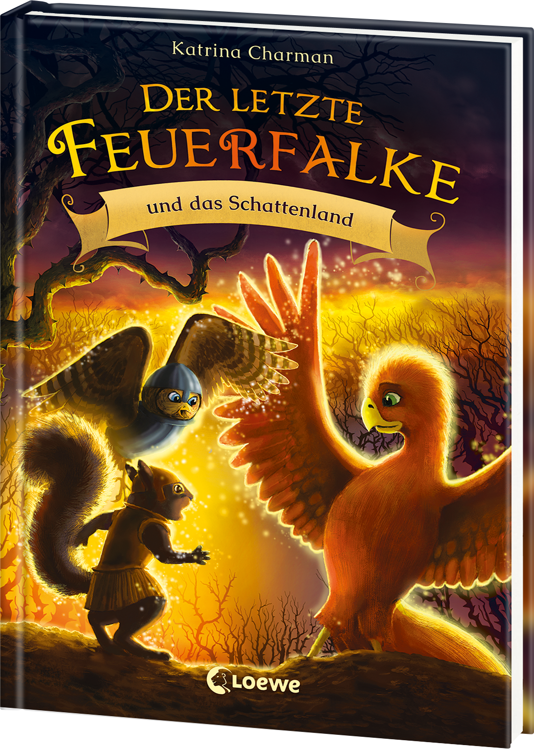 Der letzte Feuerfalke und das Schattenland (Band 5) 9783743214651
